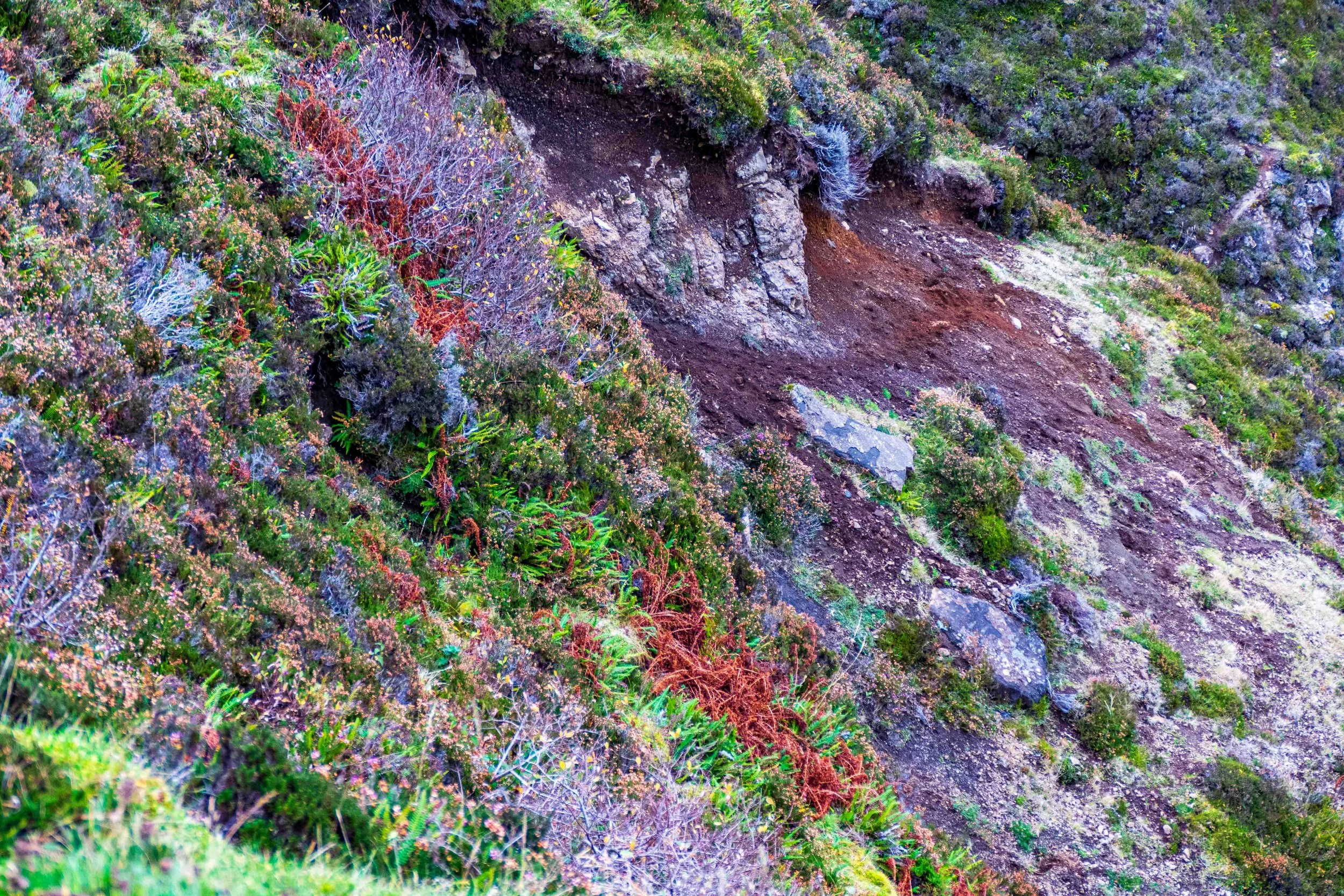 Isle of Skye Quireig16 Q2M.jpg