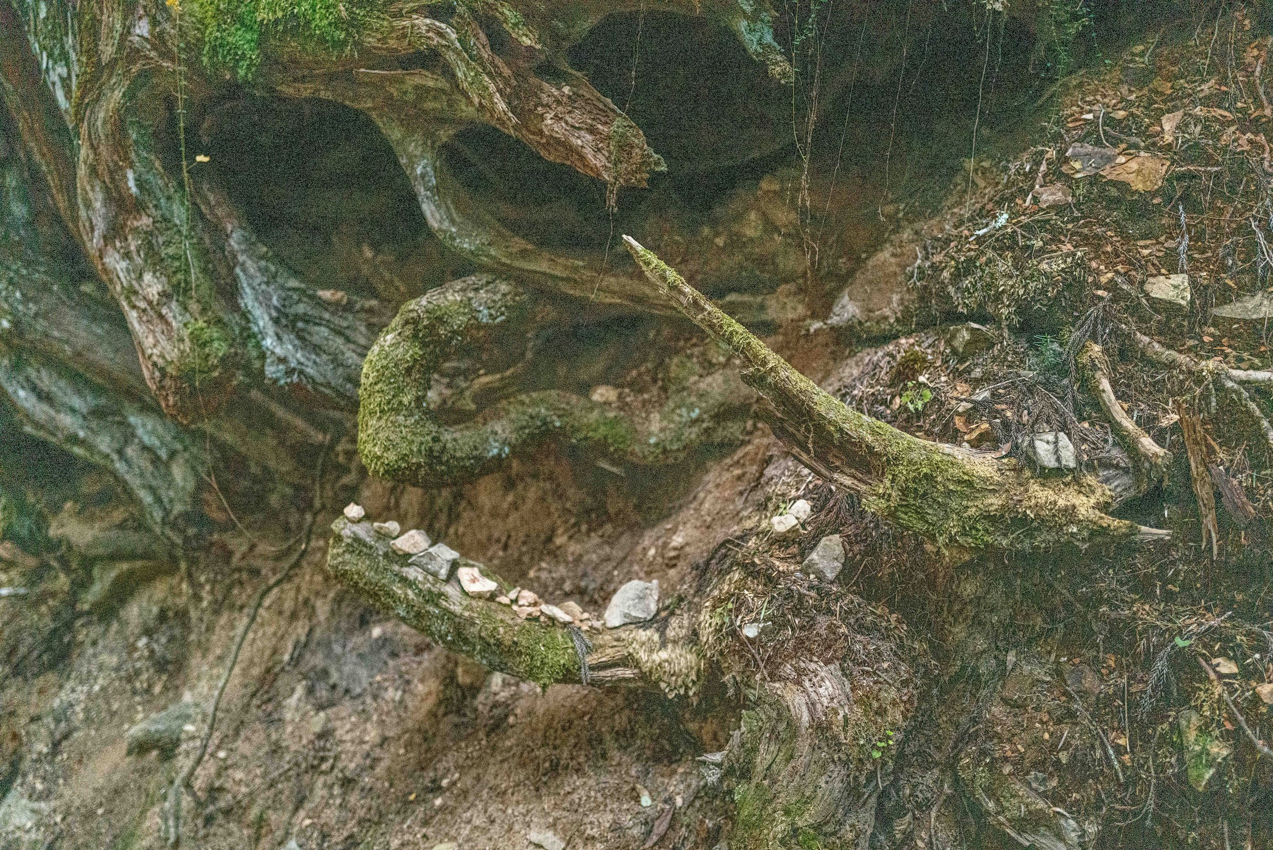  Monastery cemetary 15 Q2.jpg