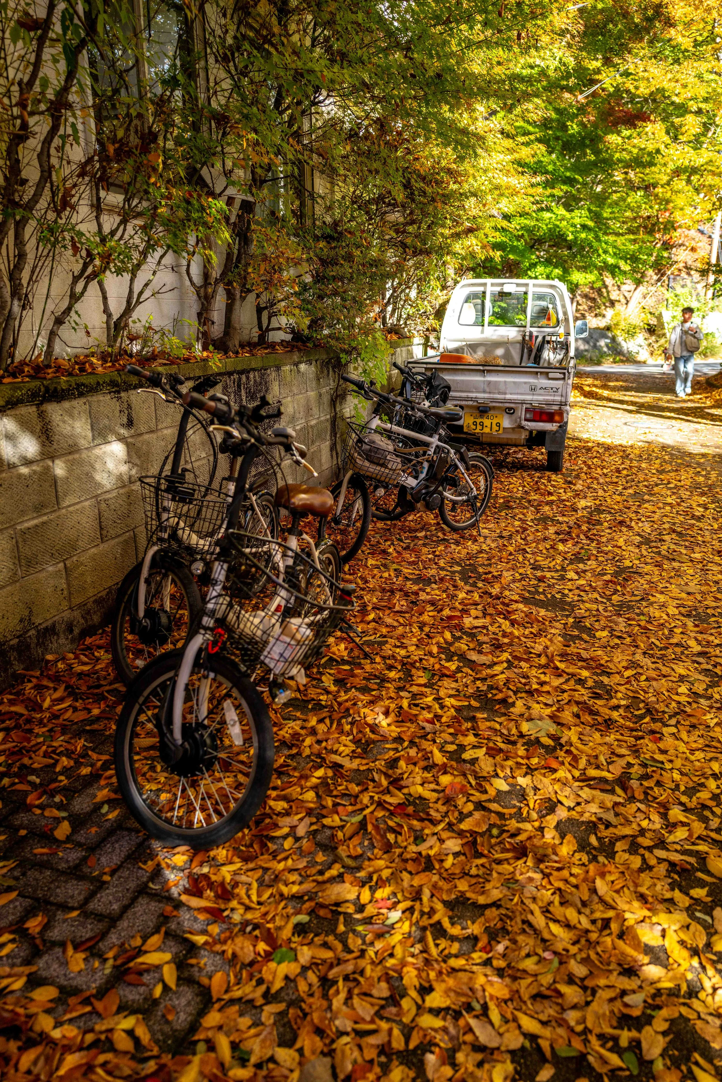 Mt Fuji Lake View 33 Q2.jpg