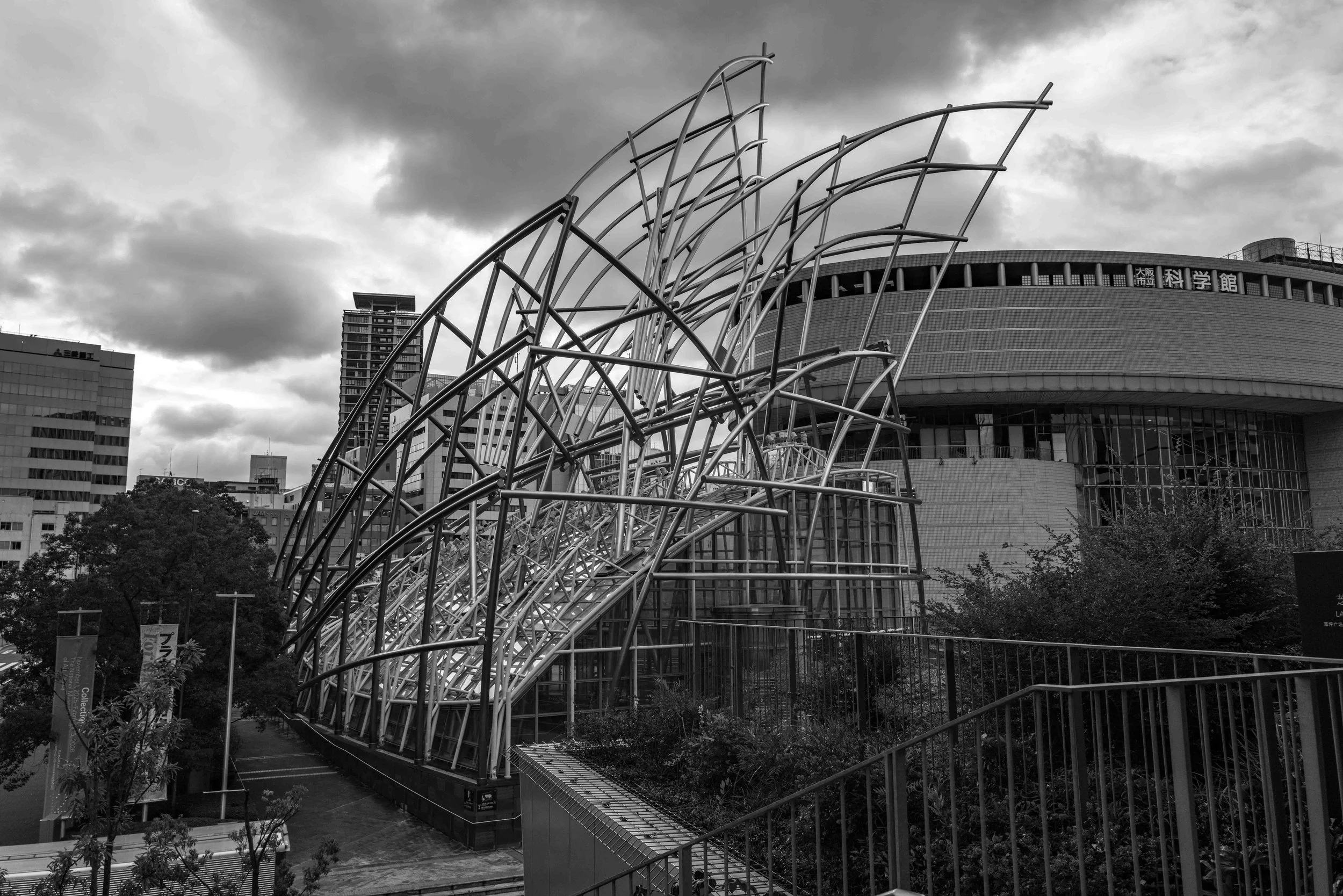 Osaka Blk Muse view 9 Q2M.jpg