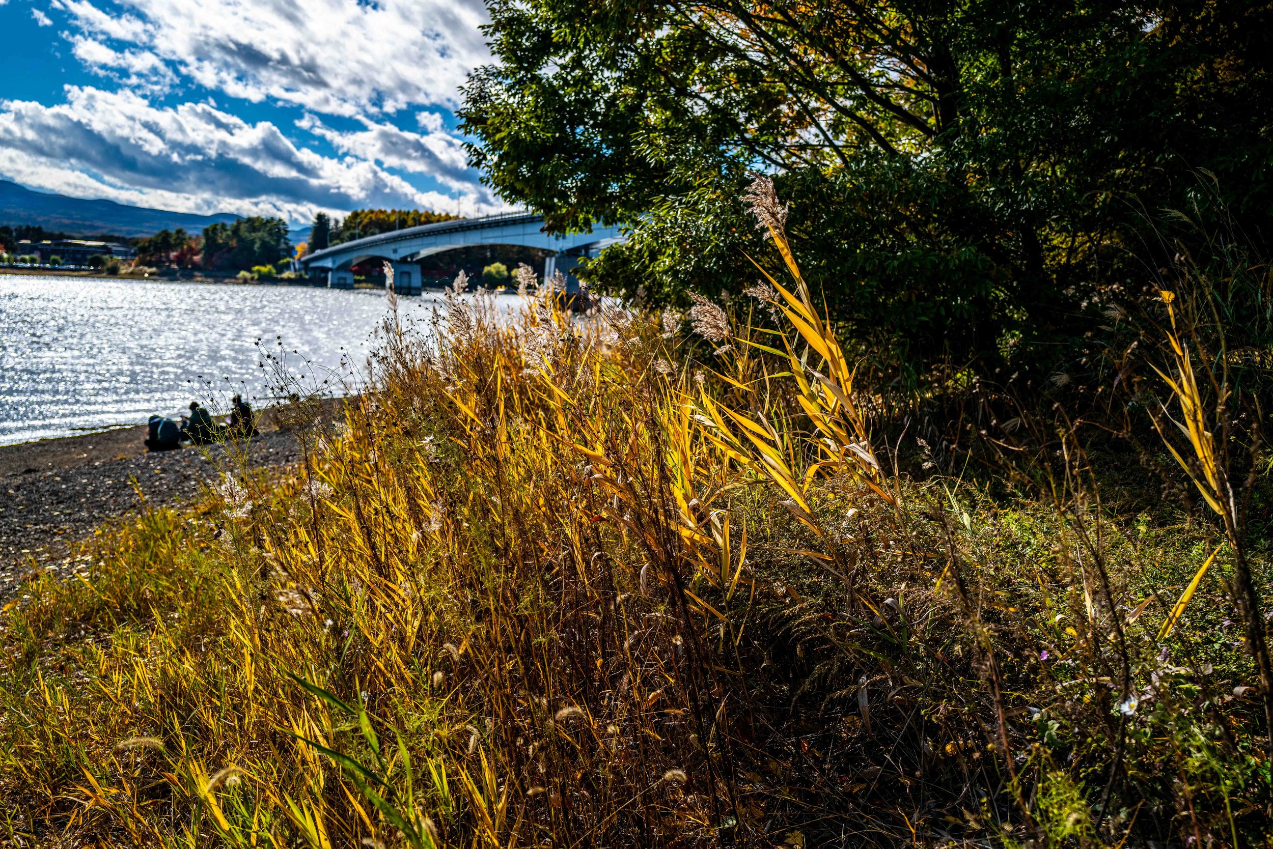 Mt Fuji Lake View 15 Q2.jpg