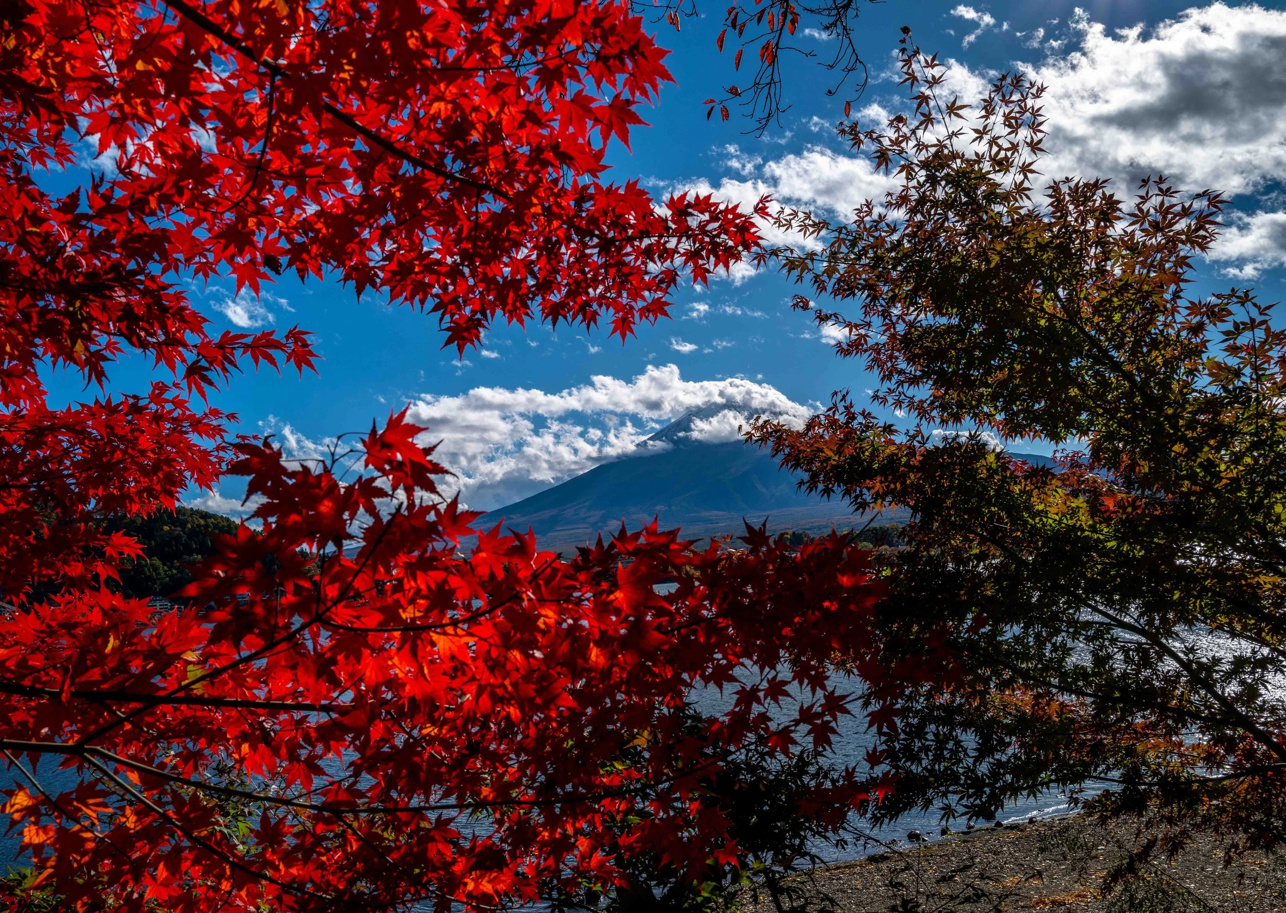 Mt Fuji Lake View 19 Q2.jpg