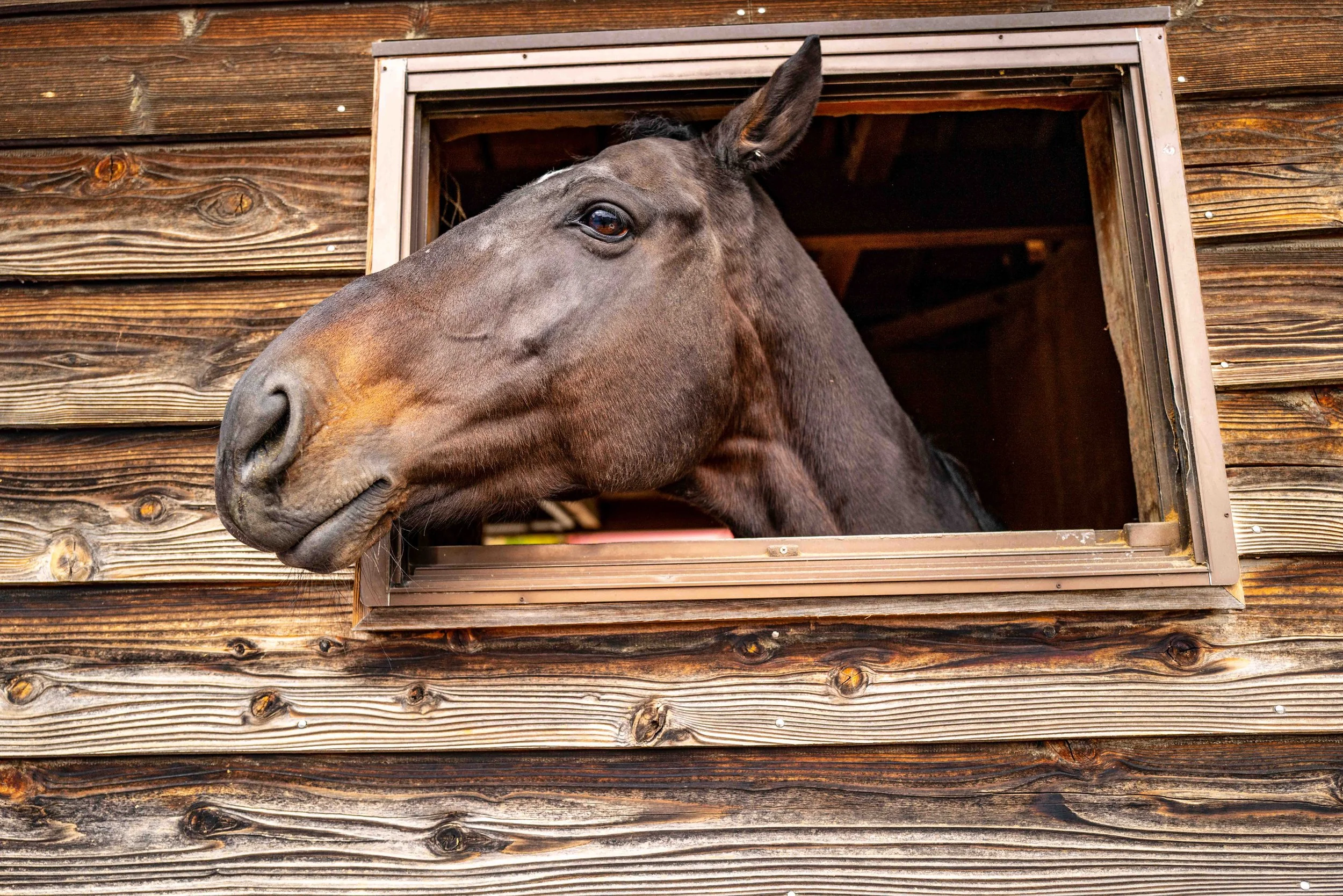 Fujiyoshida vil equis 5 Q2.jpg