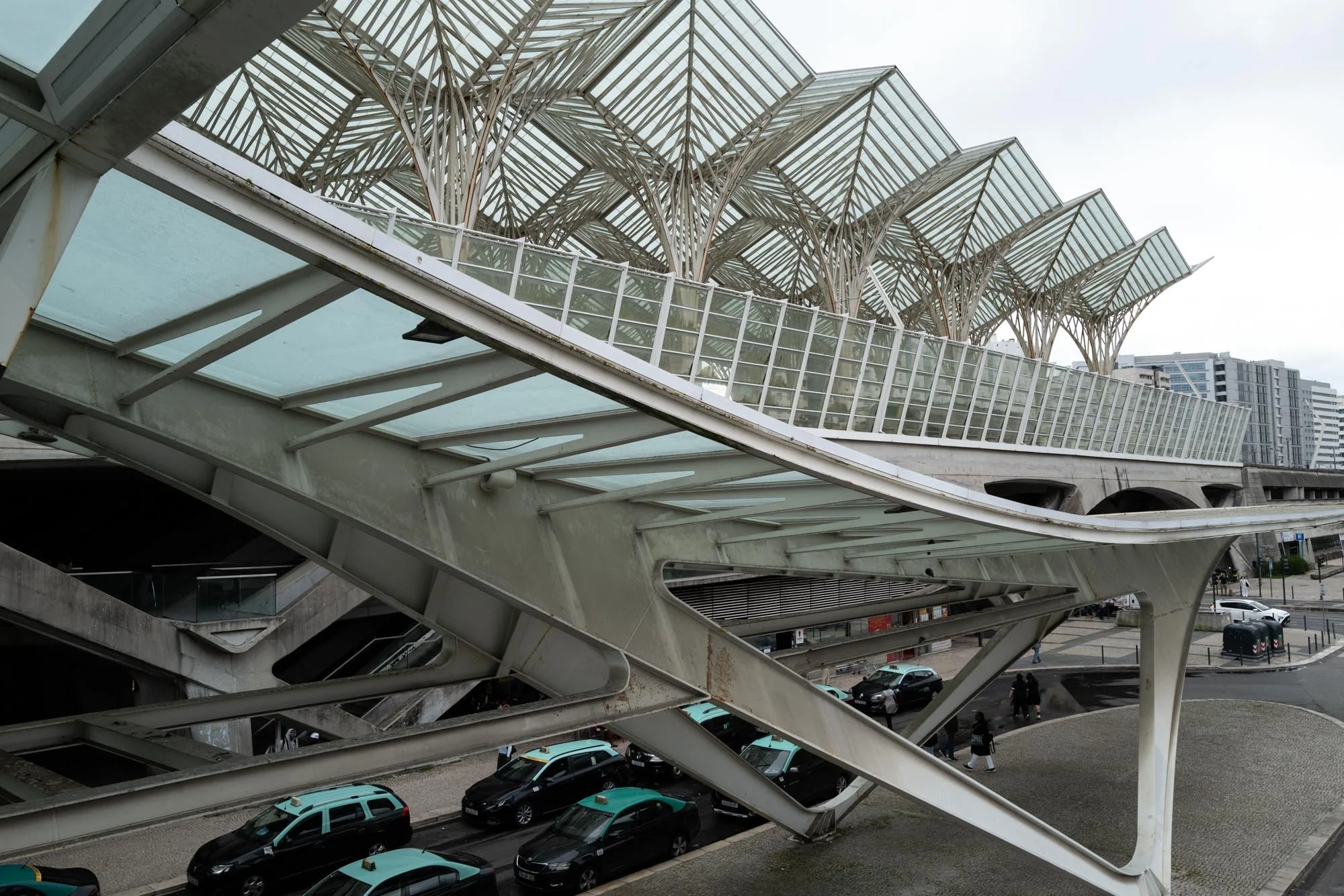 BILL Oriente 6-1.jpg