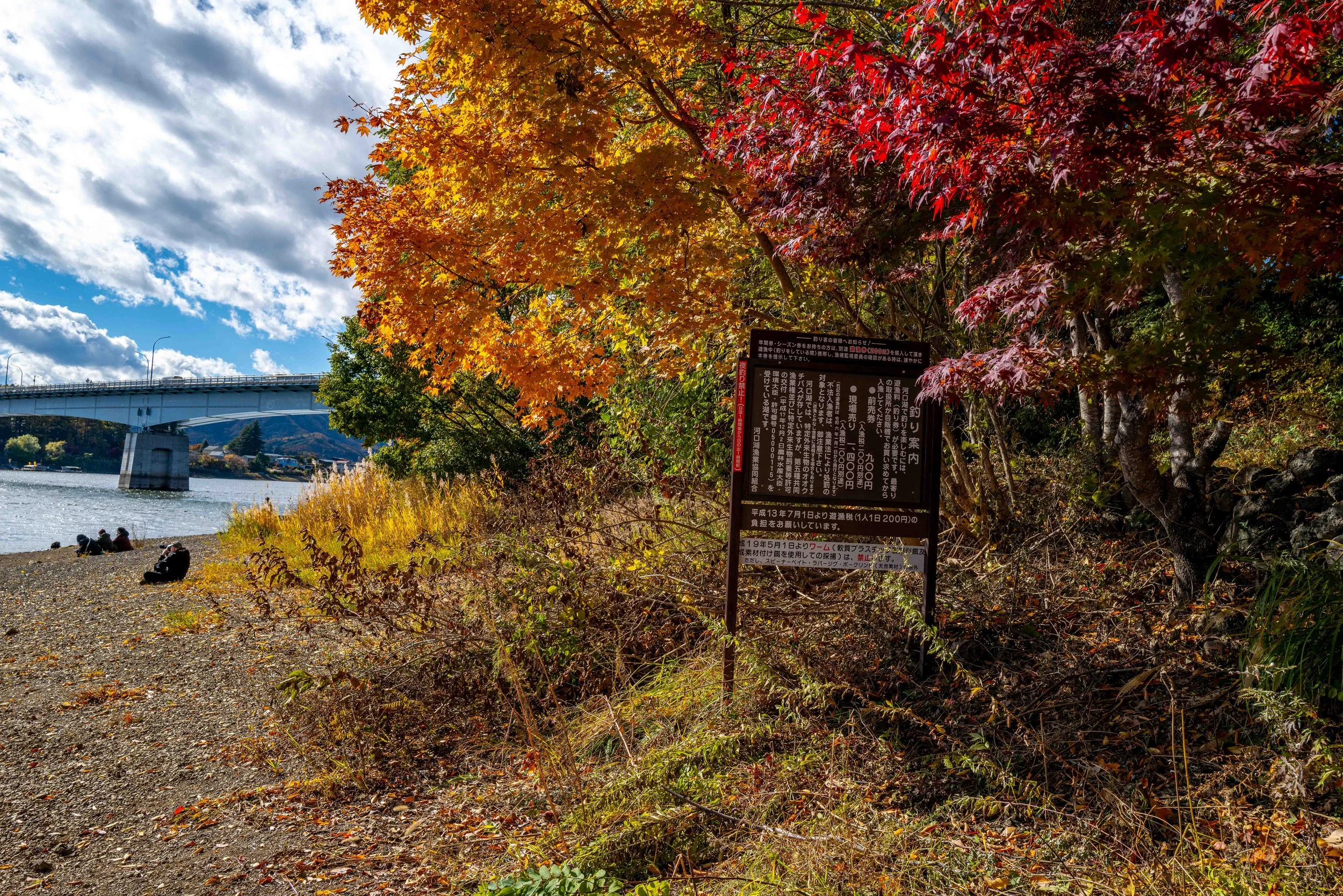 Mt Fuji Lake View 13 Q2.jpg