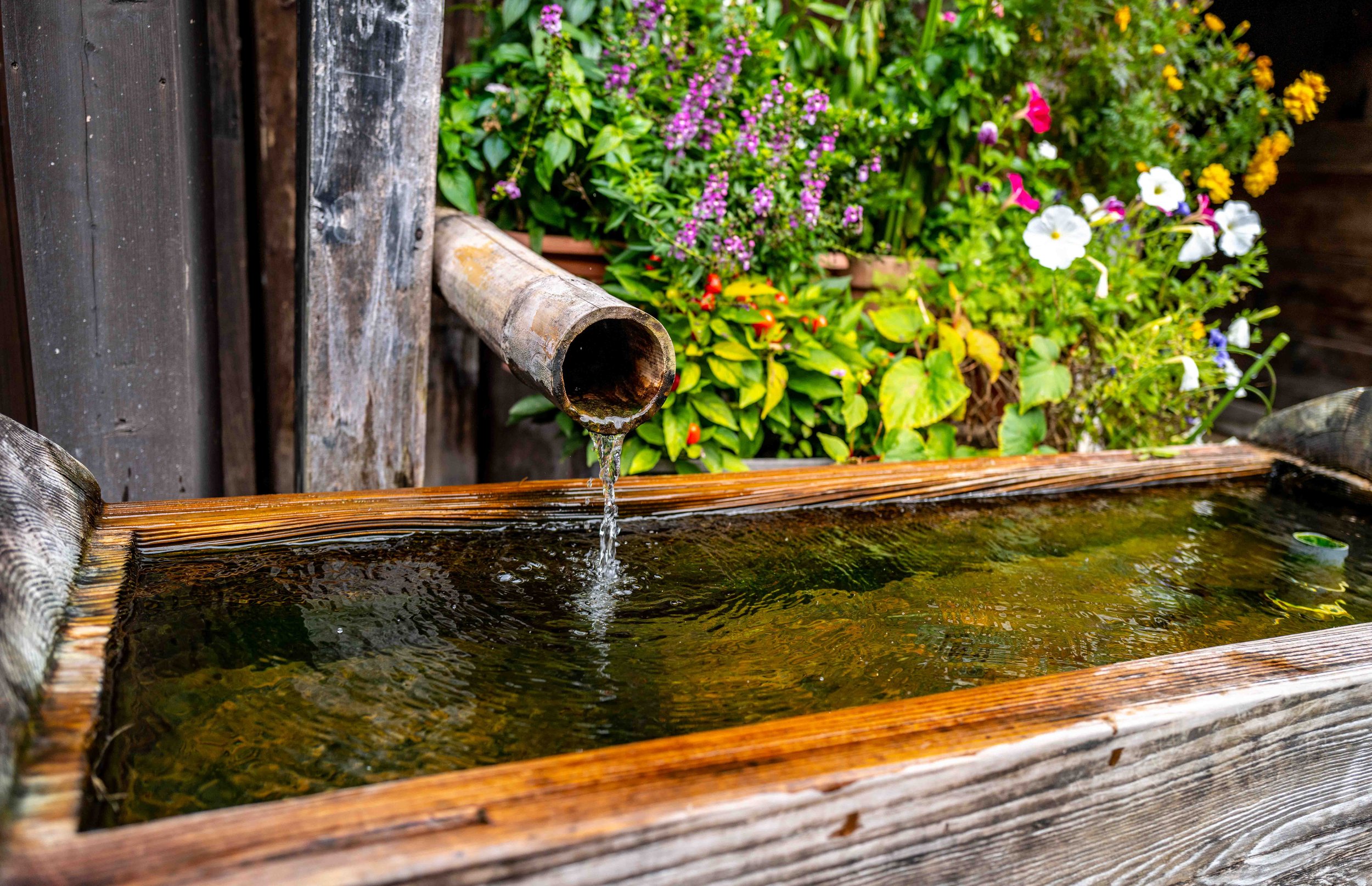 Village Mountain 67 Q2.jpg