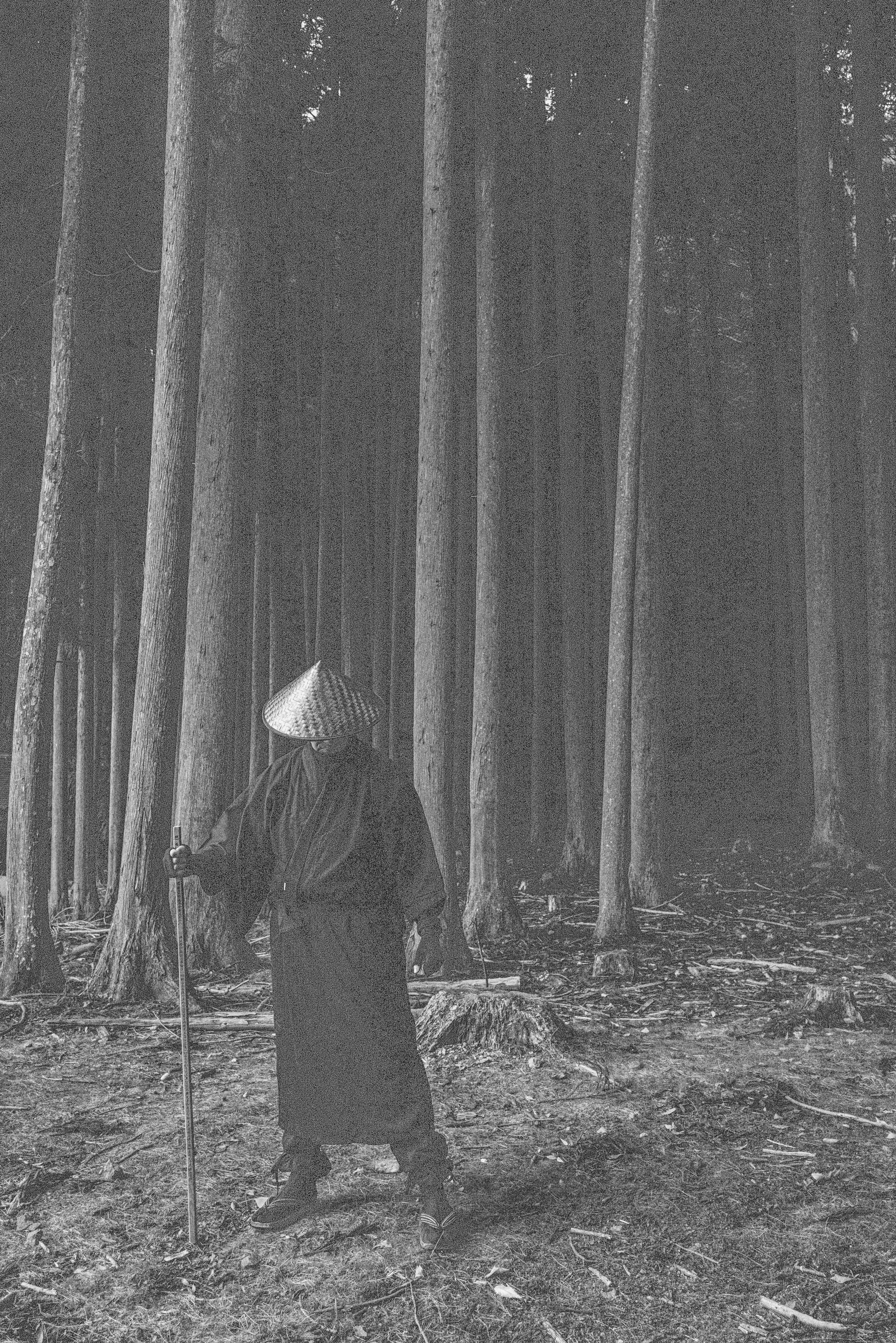 First village 15 Q2M.jpg