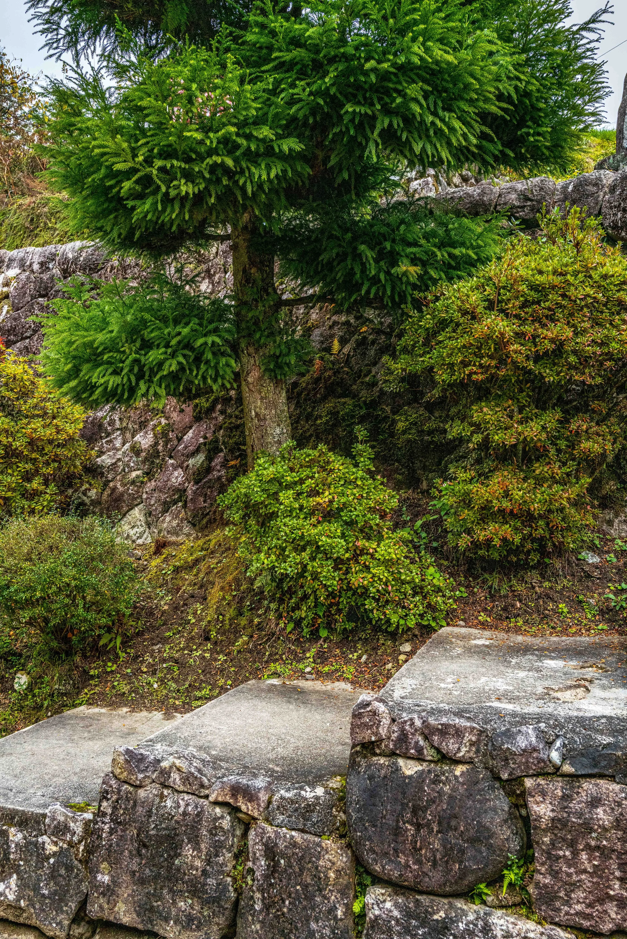 Village mountain 56 Q2.jpg