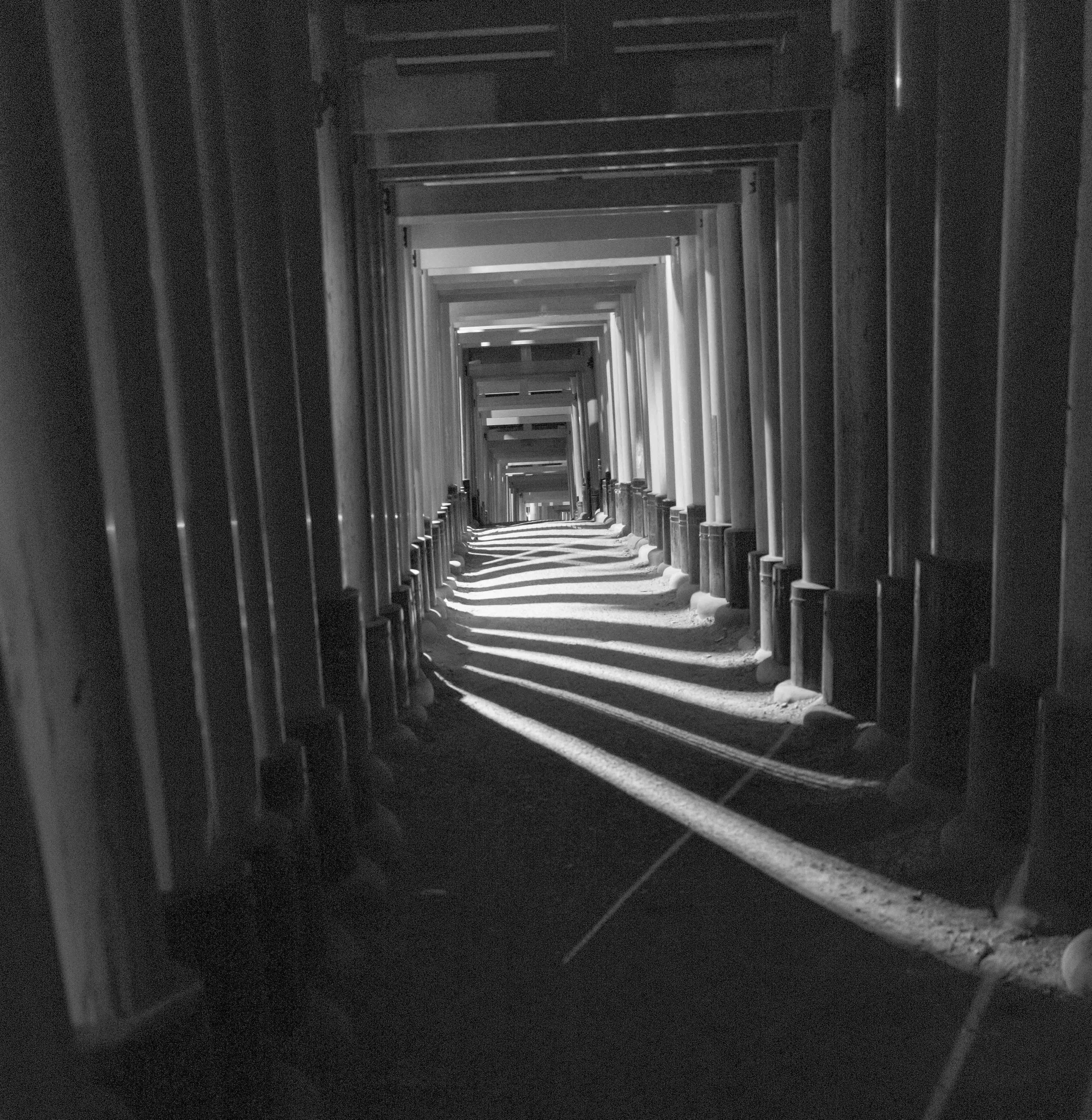 Kyoto  Arch Temp 28 Q2M.jpg