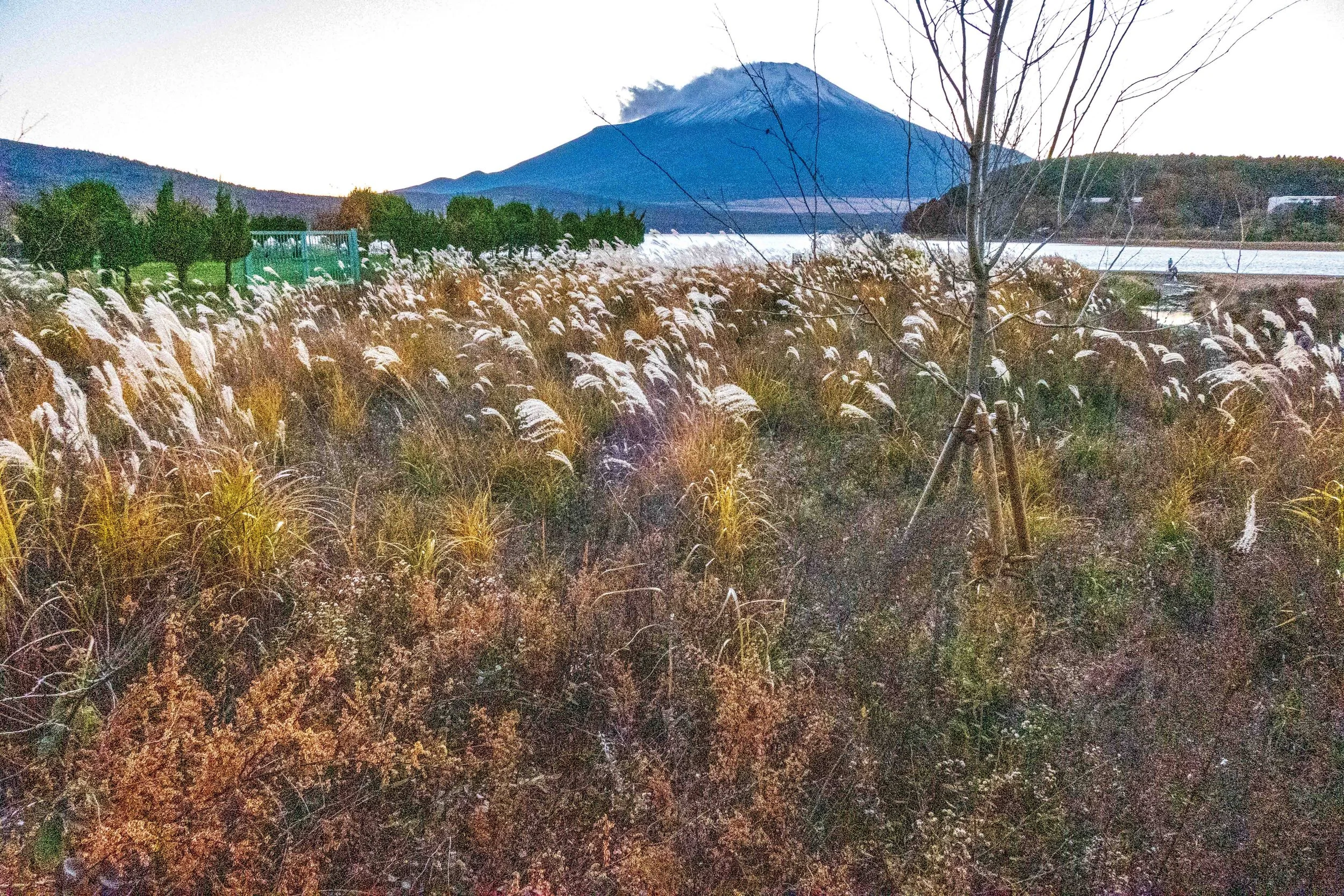 Mount Fuji  18 V-Lux 5.jpg