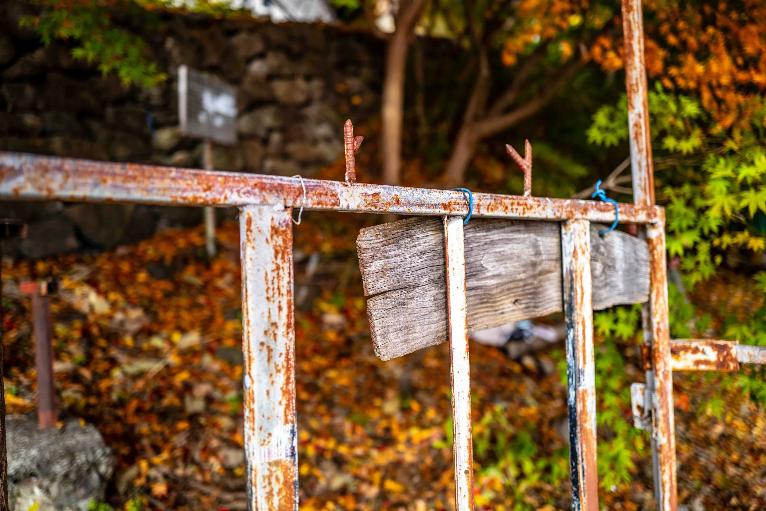 Mt Fuji Lake View 12 Q2.jpg