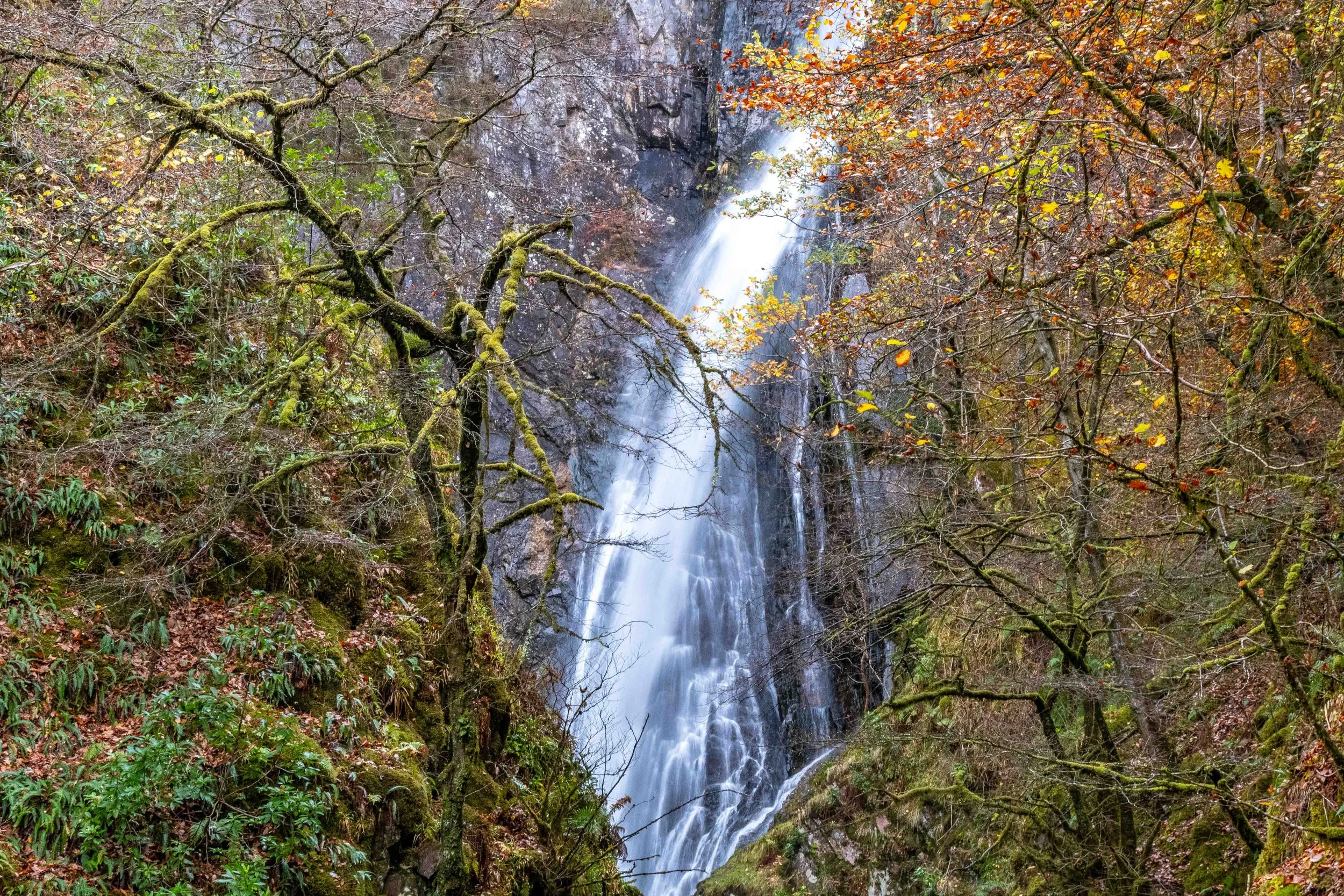 Highlands waterfall1 11-24 VL5.jpg