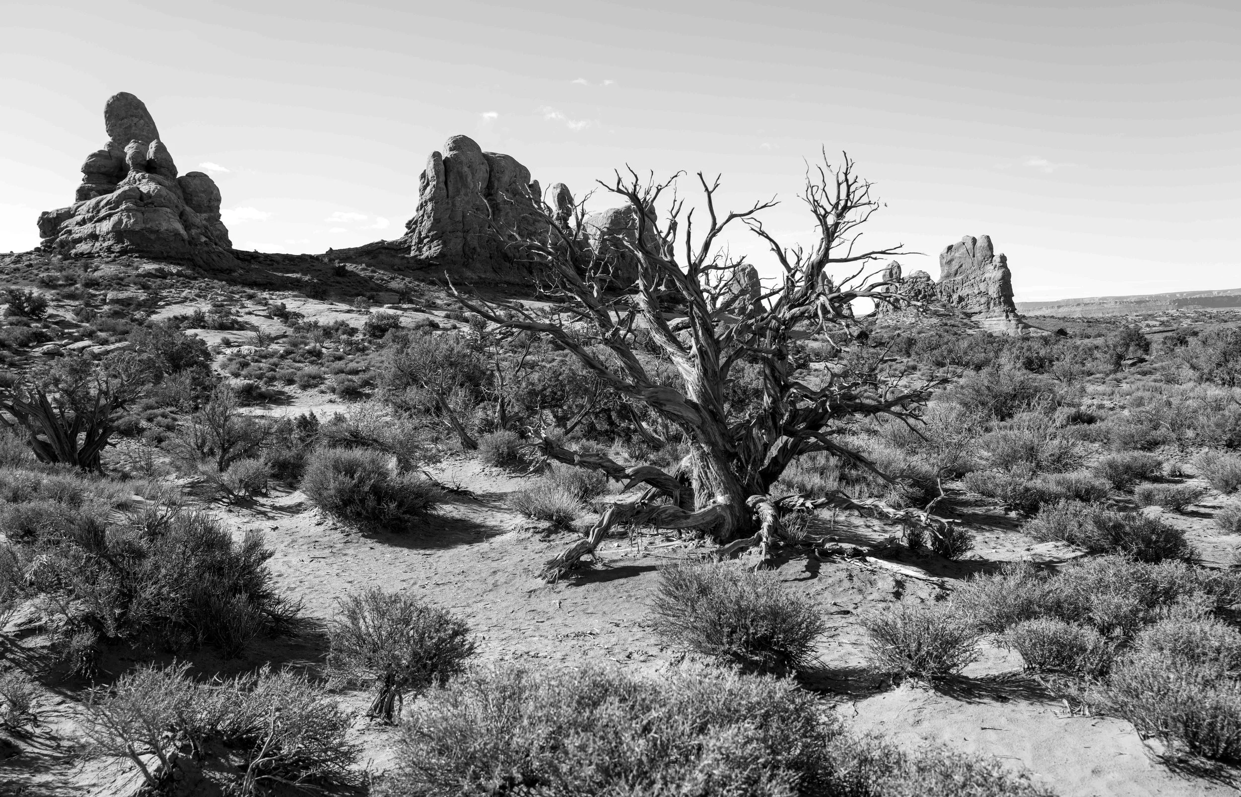 Arches park 16 Q2M.jpg