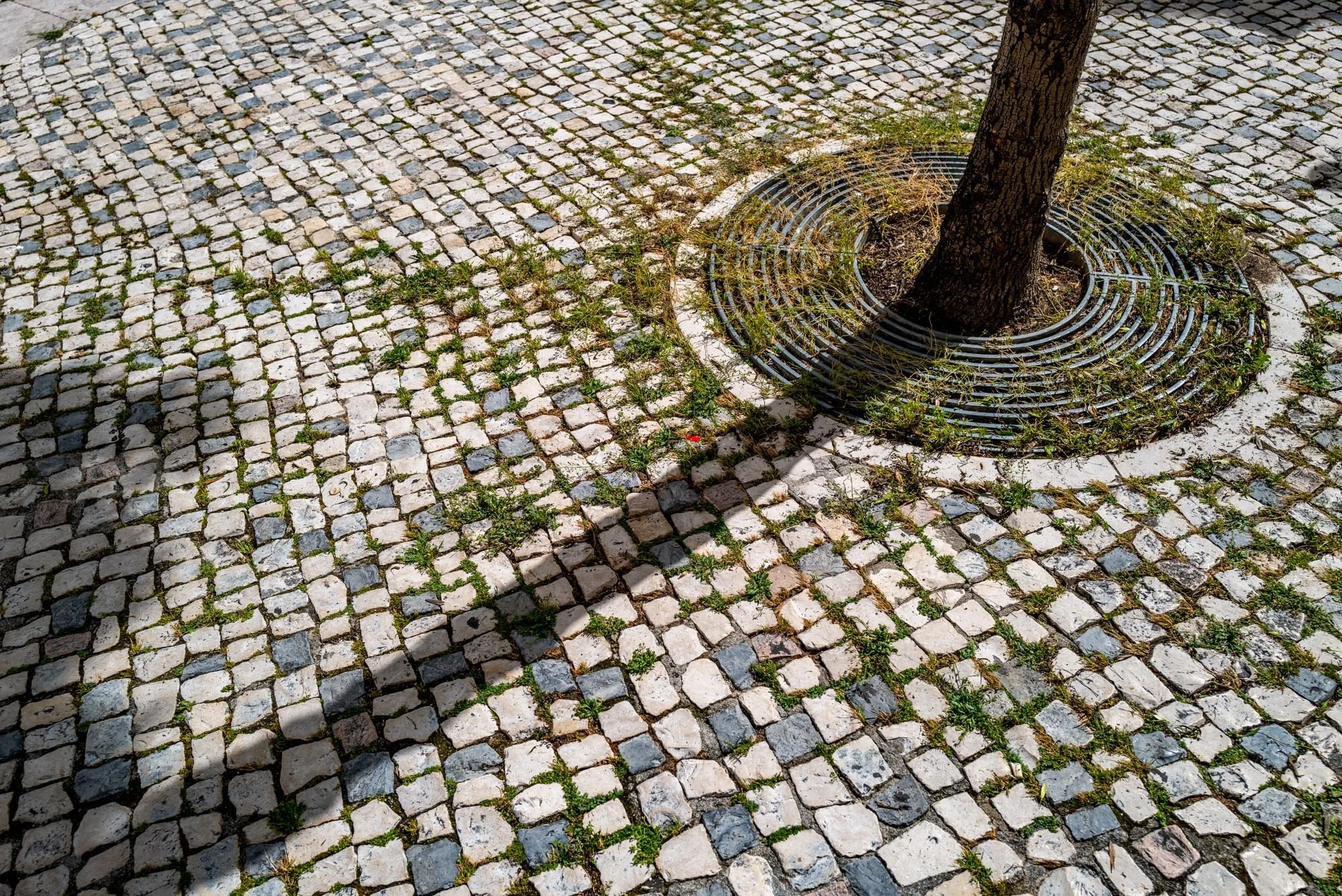 Lisboa Str circle 1 Q2-1.jpg