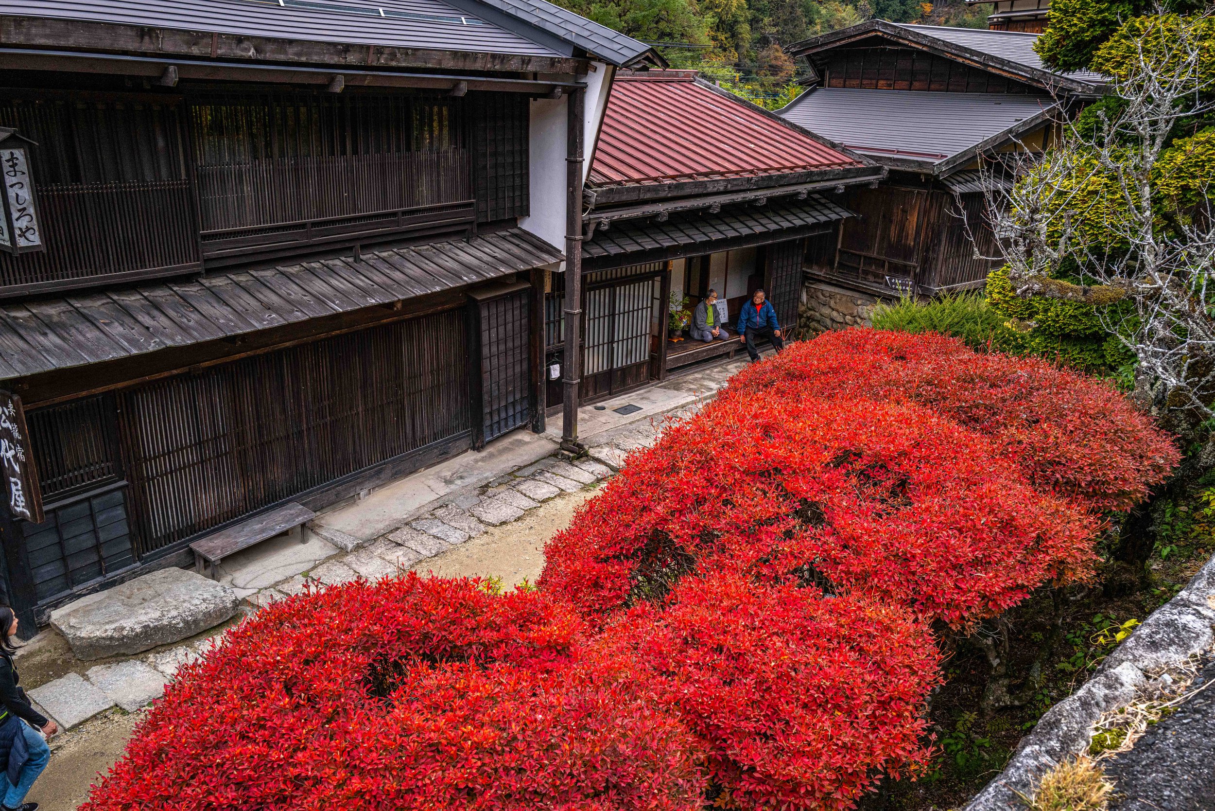 Village Mountain 64 Q2.jpg