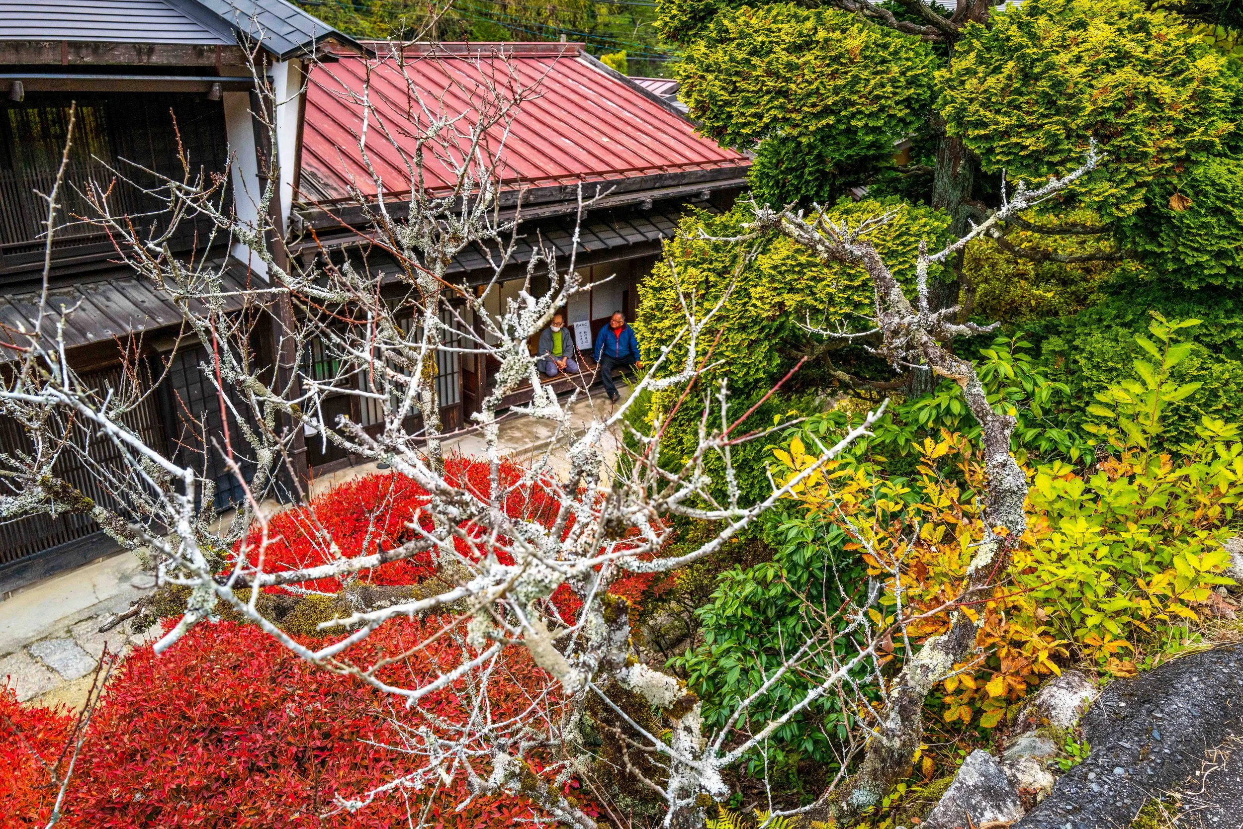 Village Mountain 65 Q2.jpg