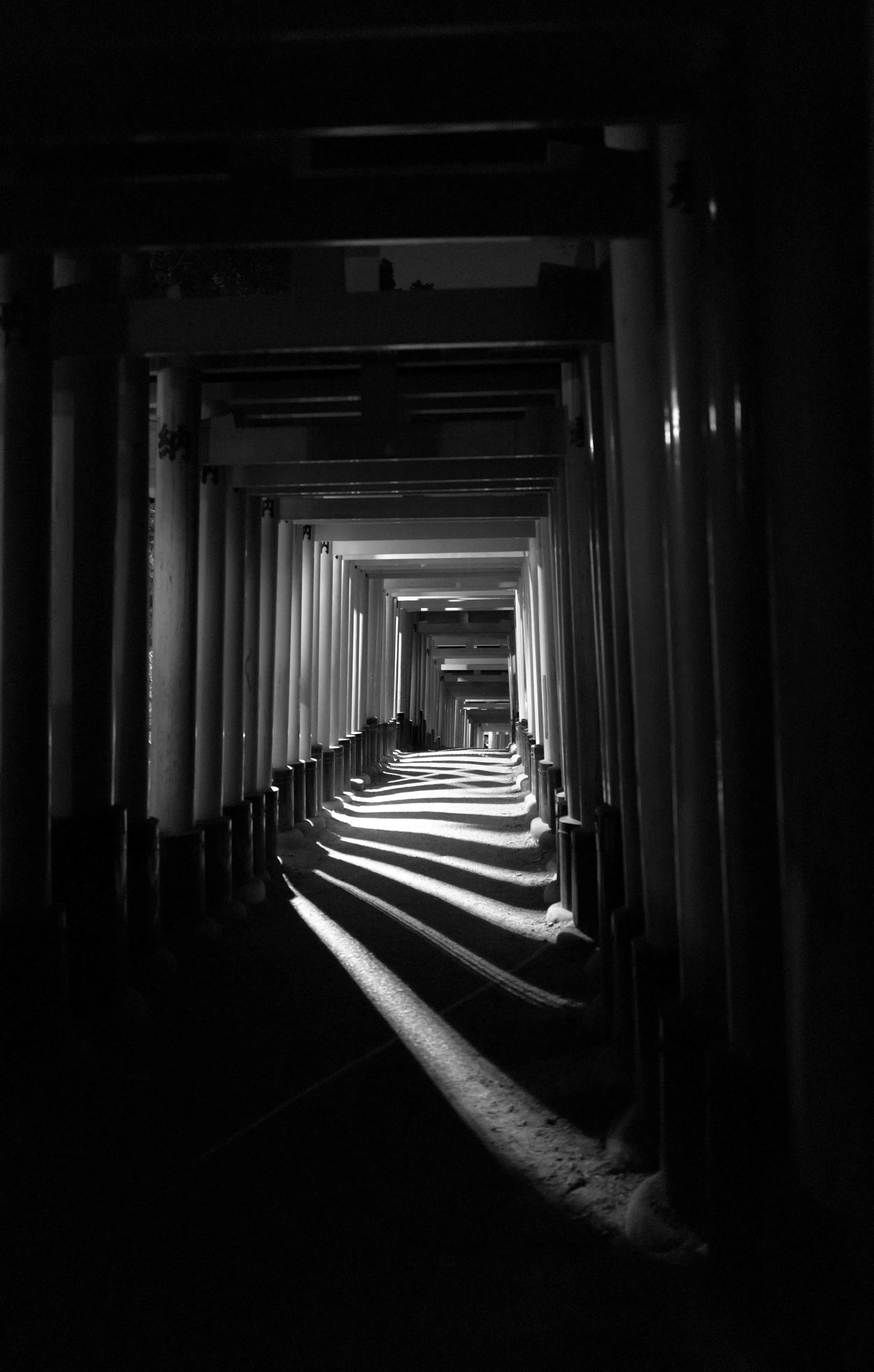 Kyoto Night Arch 1 Q2M.jpg