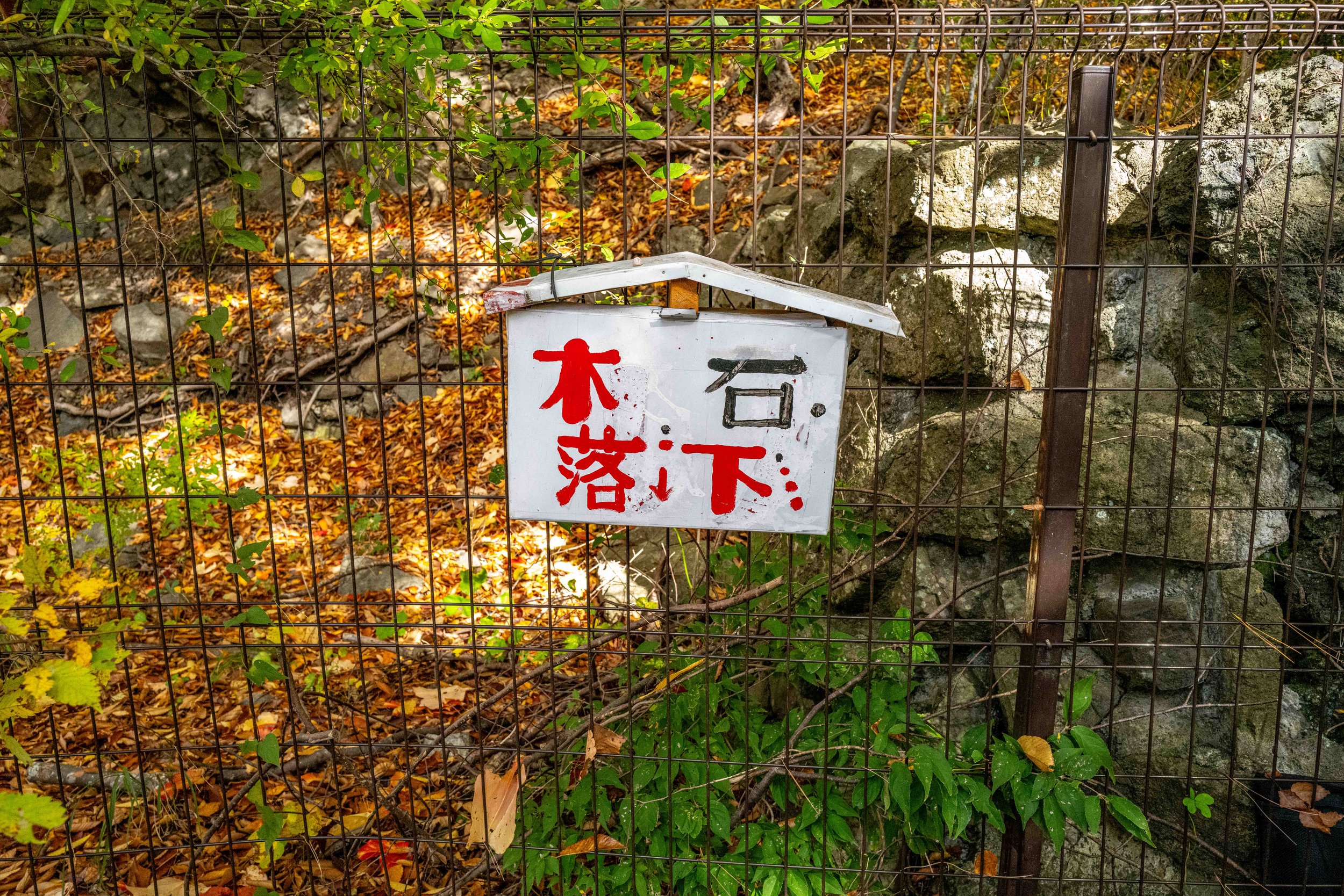 Mt Fuji Lake View 9 Q2.jpg