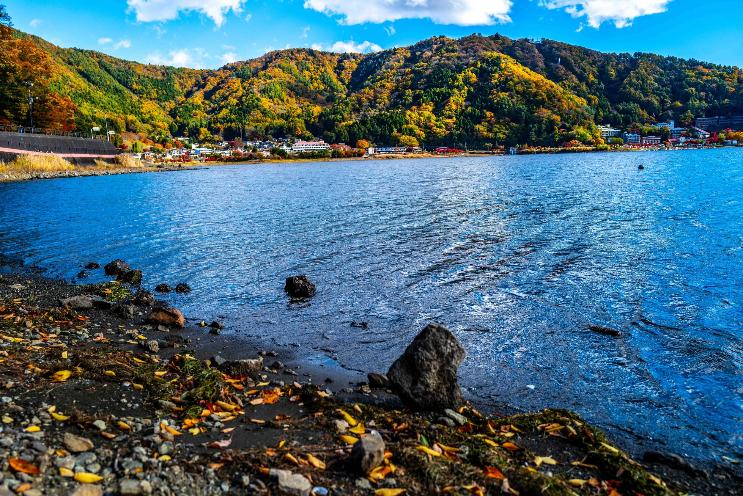 Mt Fuji Lake View 11 Q2.jpg