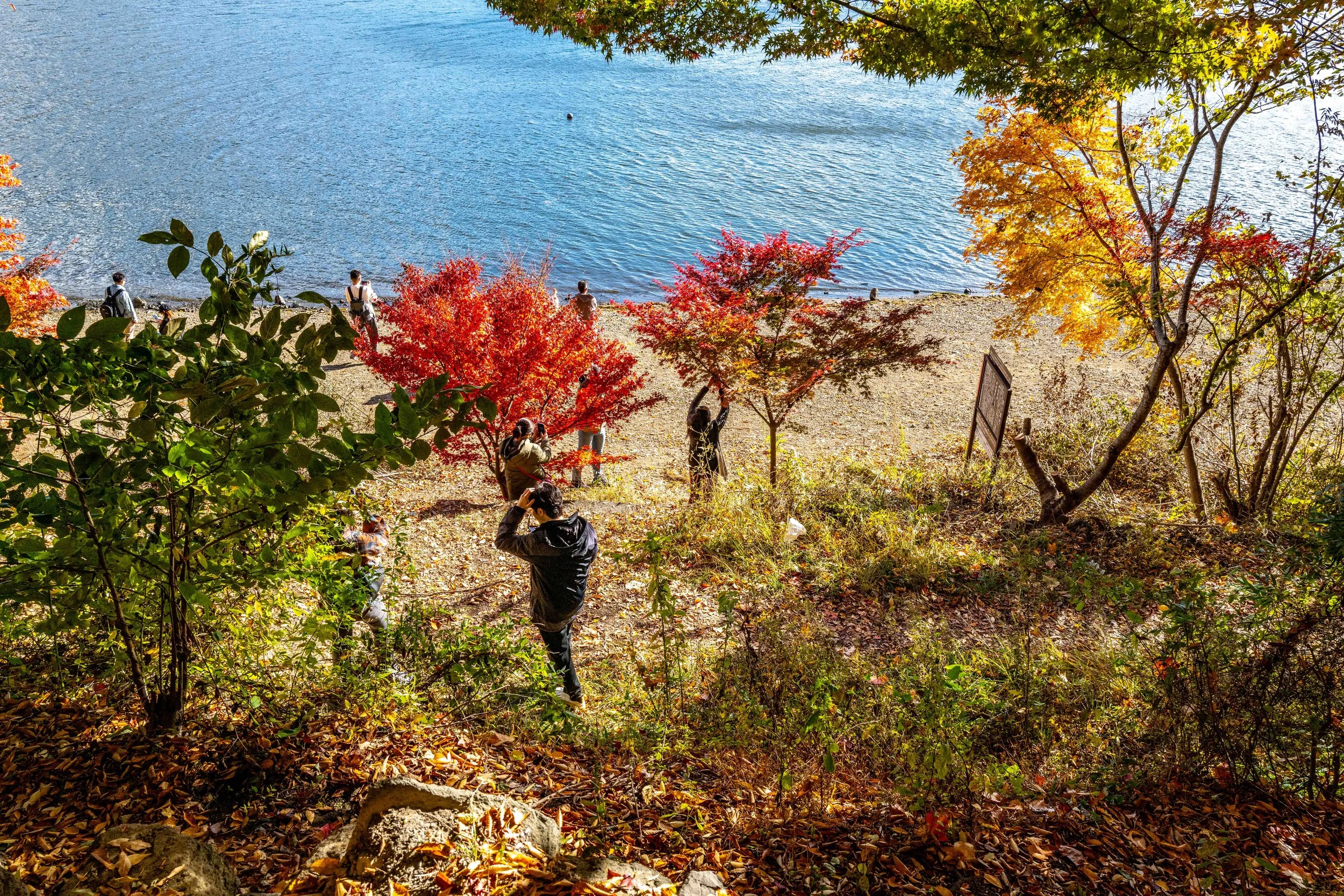 Mt Fuji Lake View 25 Q2.jpg