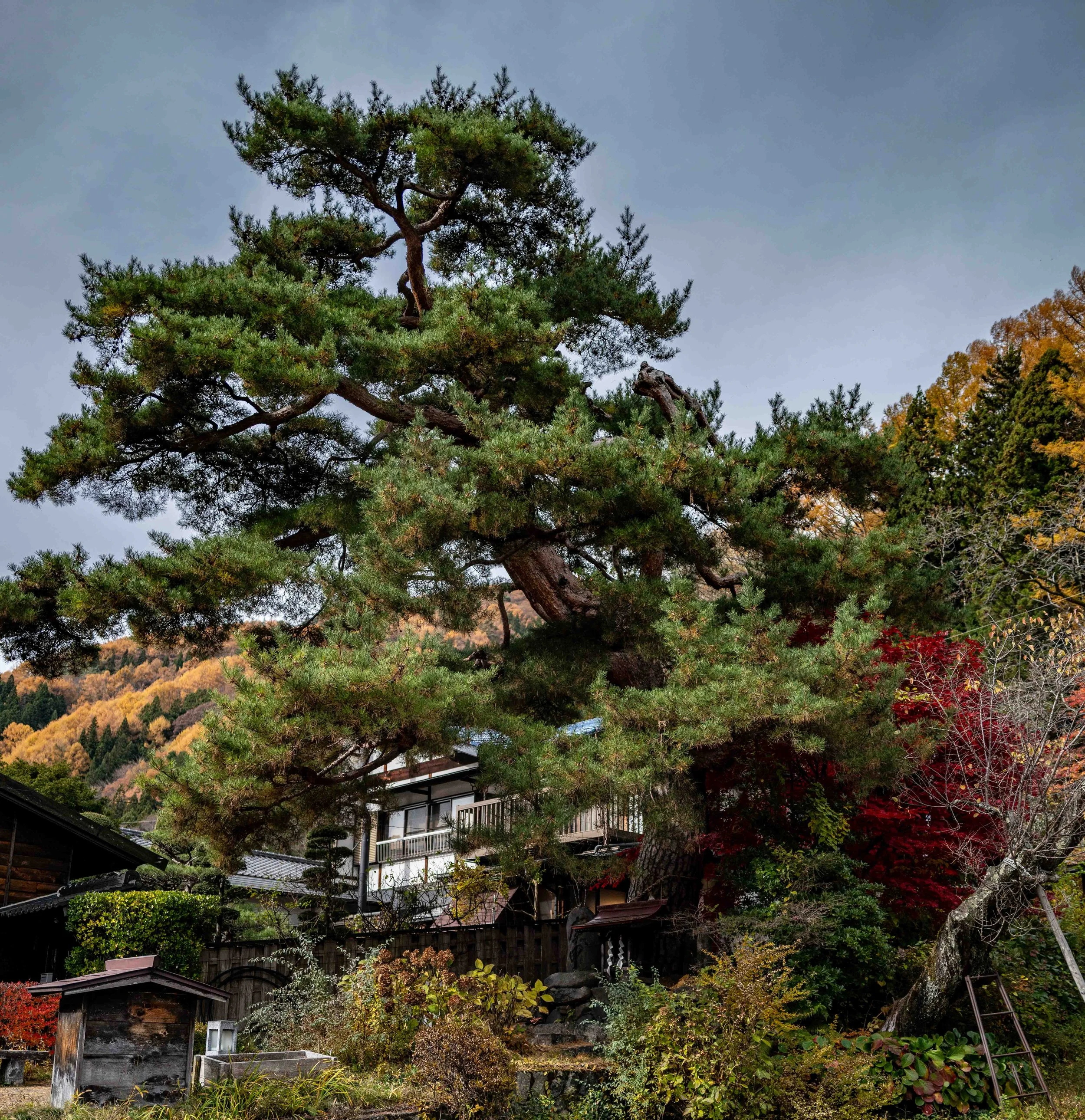 Village mountain 20 Q2.jpg