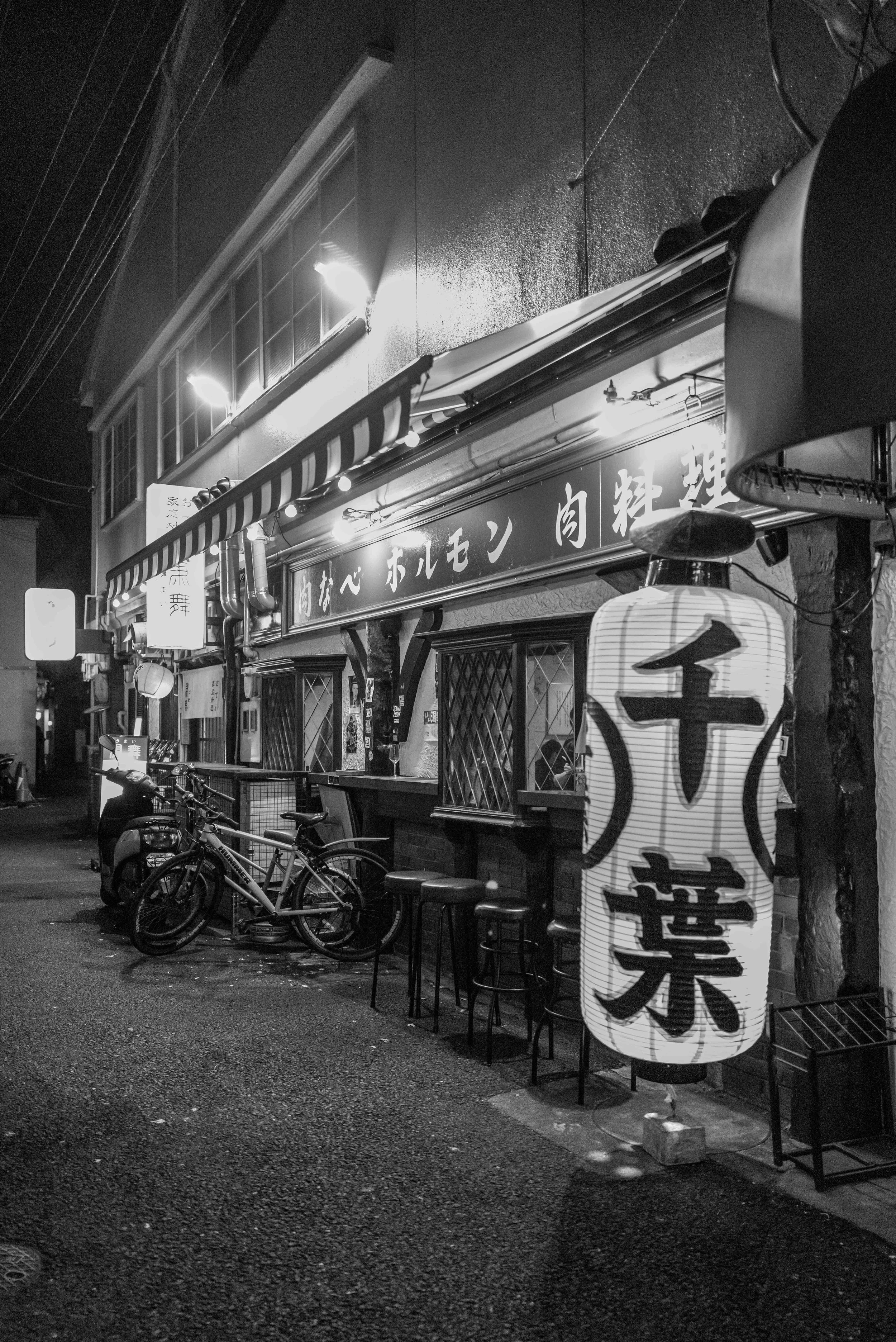 Jap night walk 4 Q2M.jpg