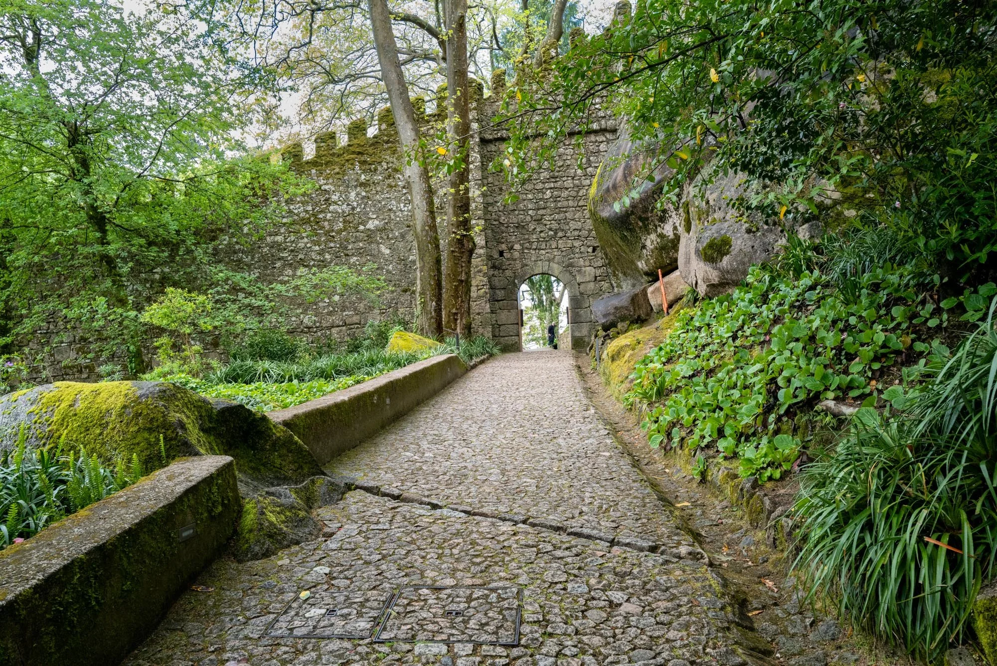 Sintra view 3 Q2-1.jpg