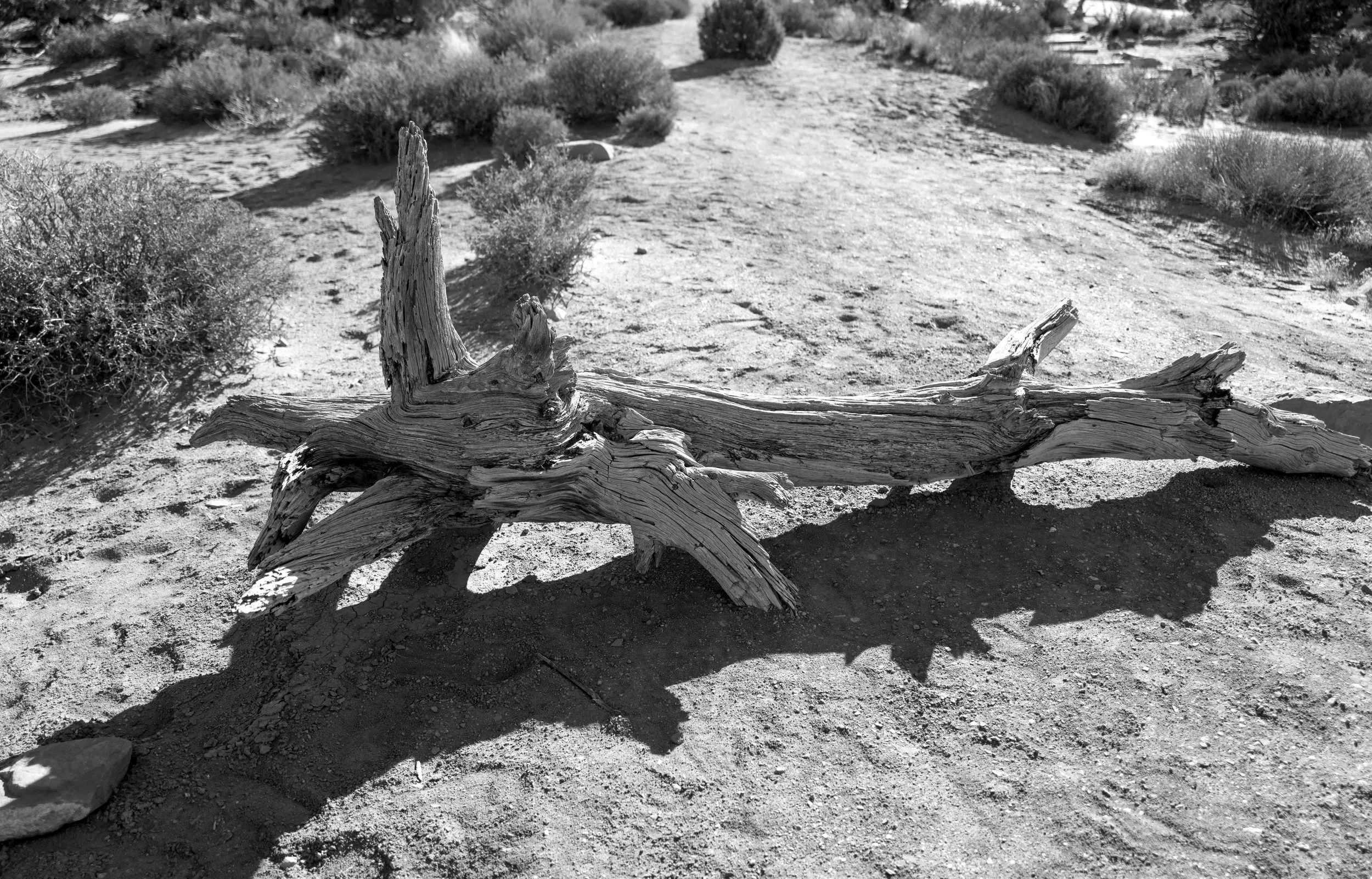 Arches park 12 Q2M.jpg