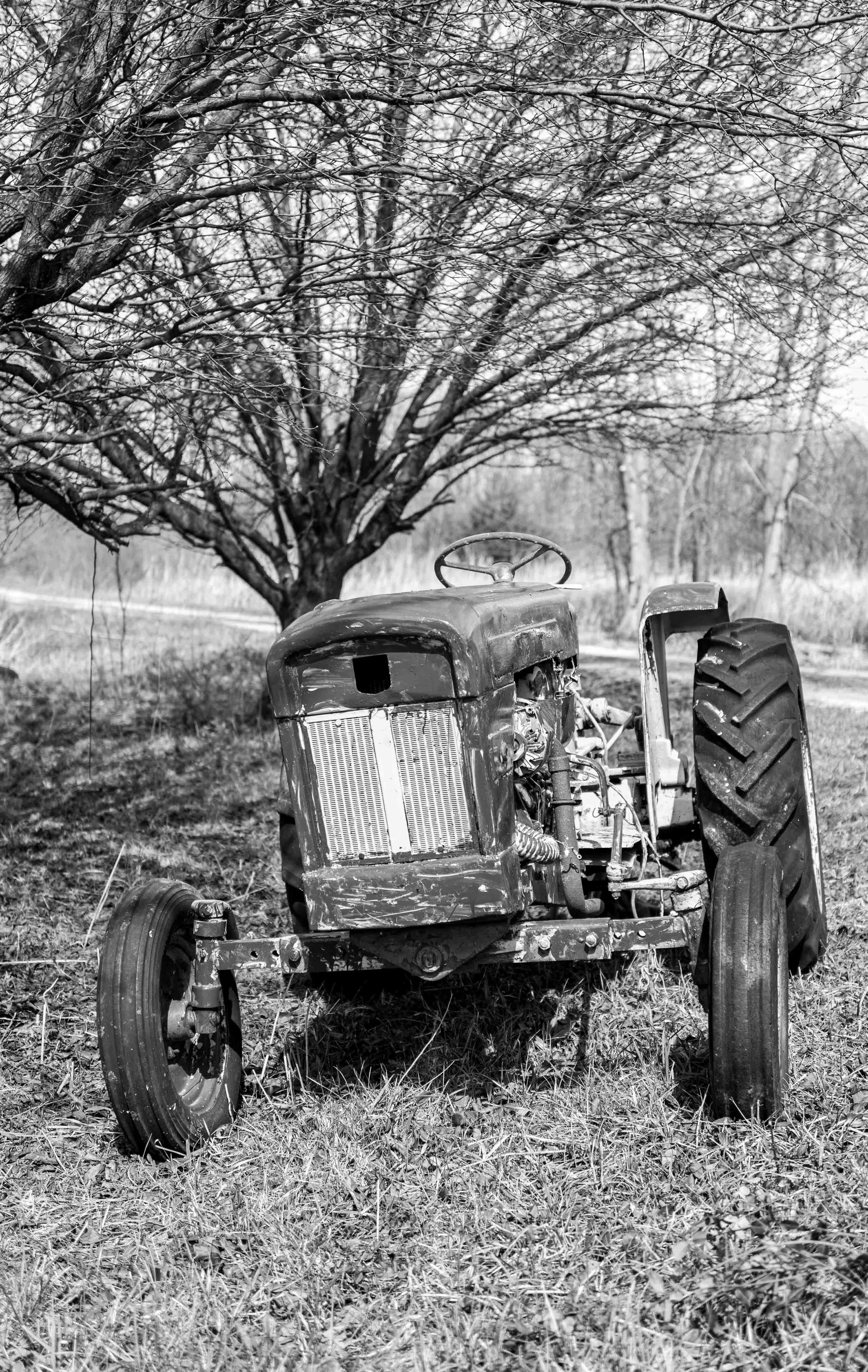 Muncie rural '26 26 Q2M.jpg