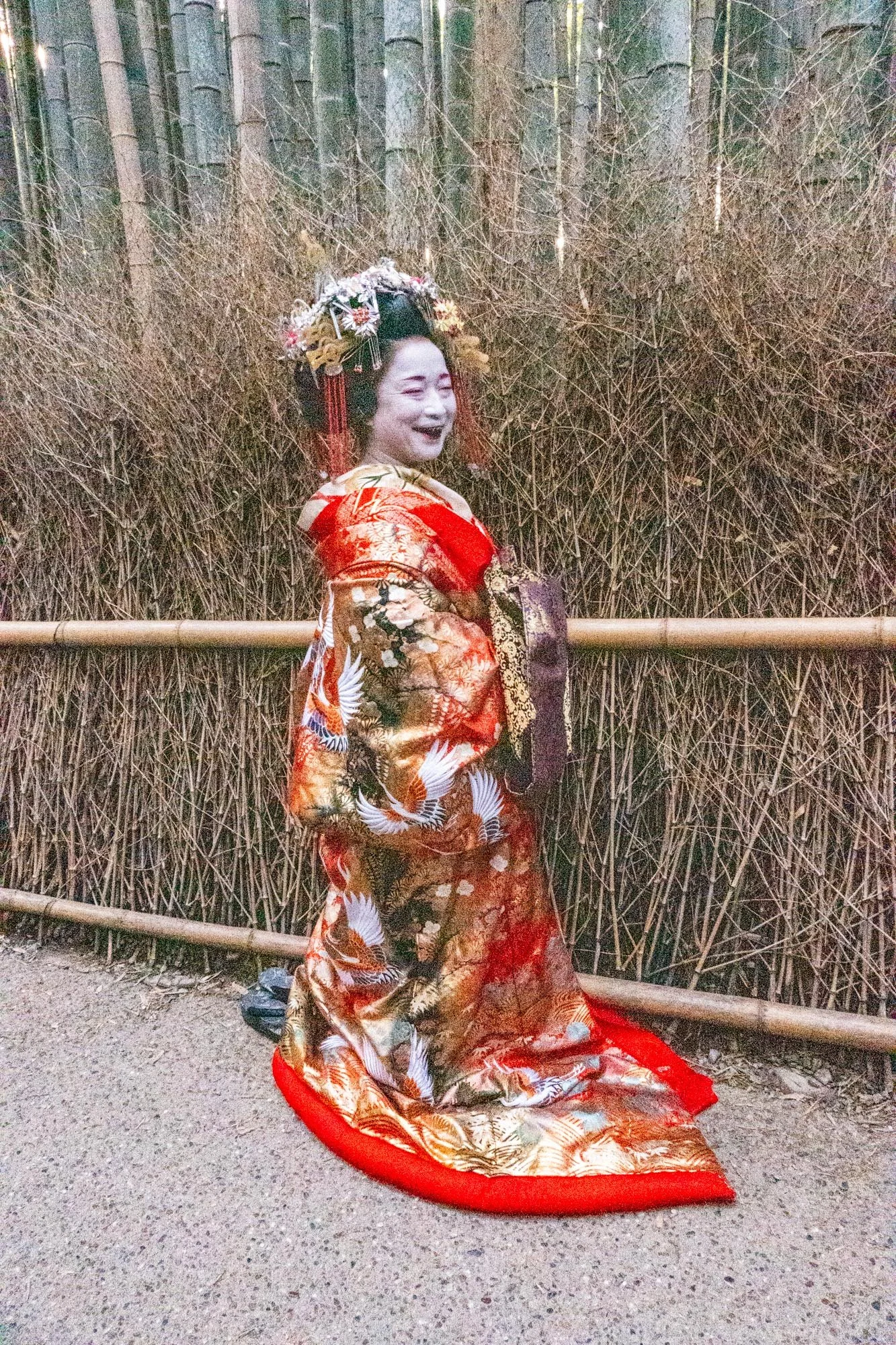  Keoto Ghisha 4+  Q2-1.jpg