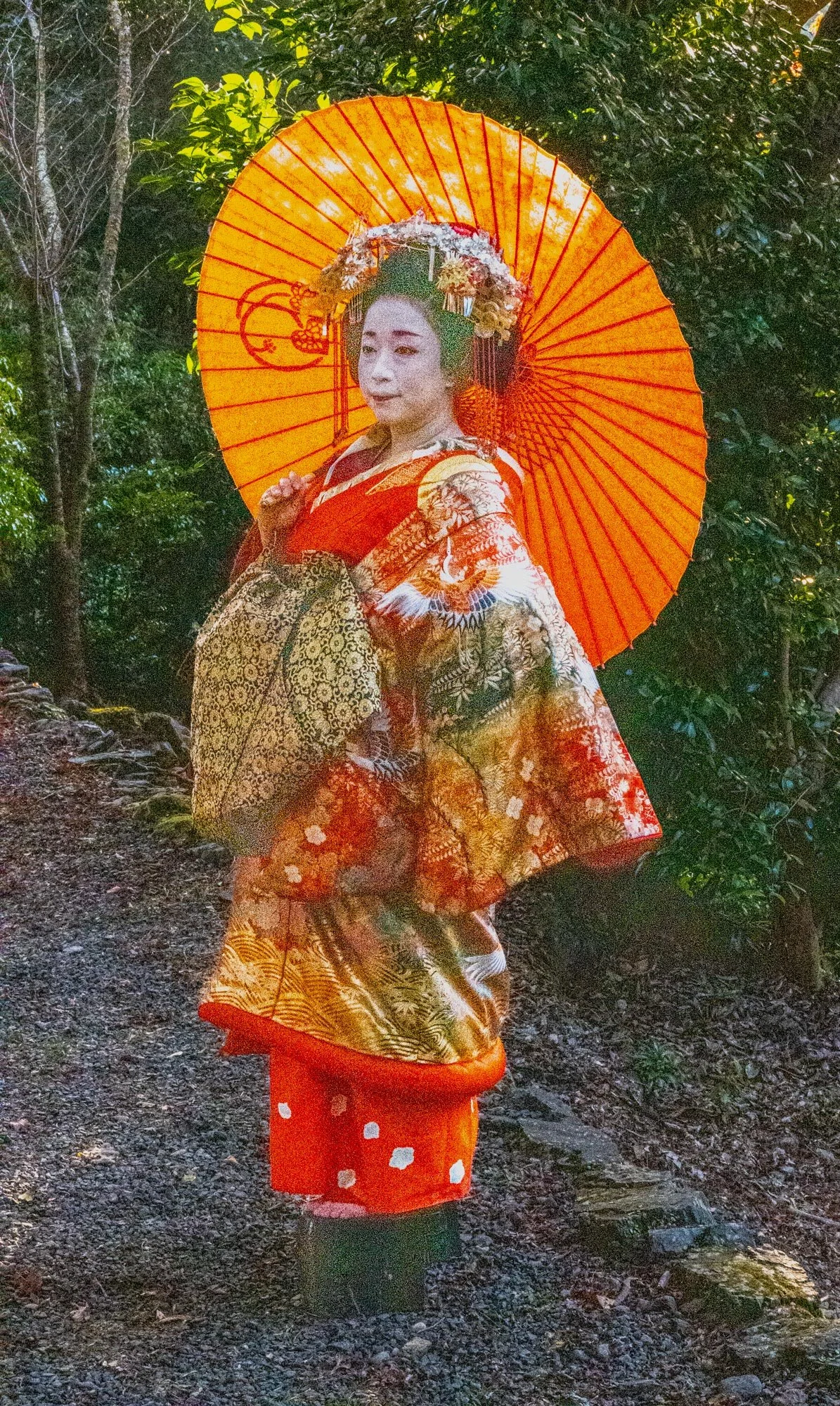 Keoto Gisha 6+ Q2-1.jpg