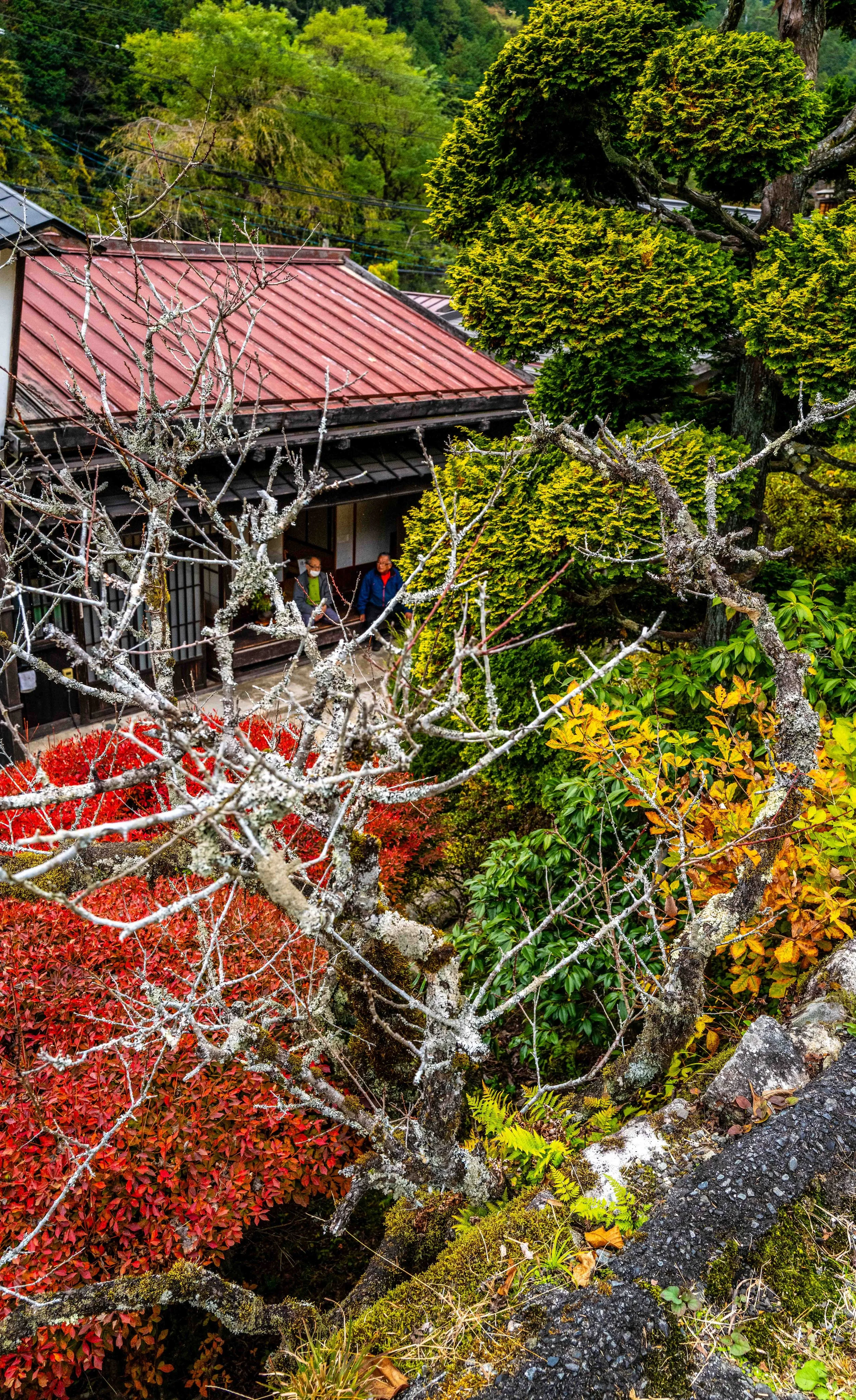 Village Mountain 66 Q2.jpg