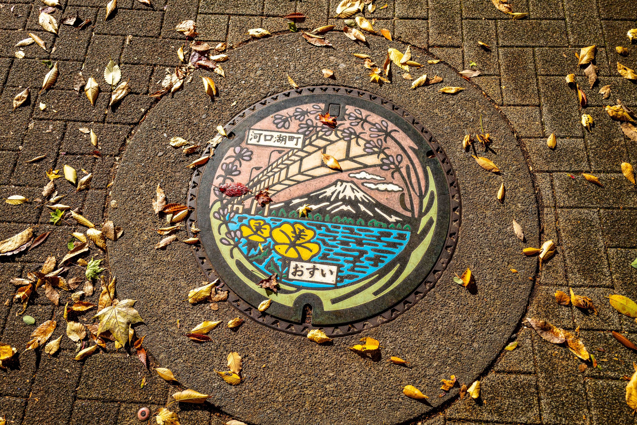 Mt Fuji Lake View 35 Q2.jpg