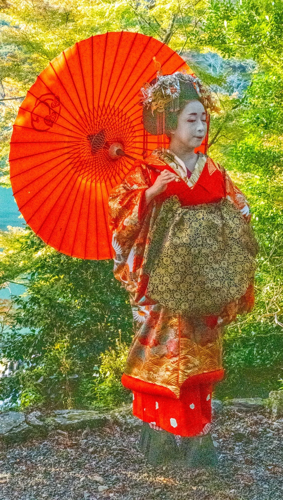 Keoto Gisha 7+ Q2-1.jpg