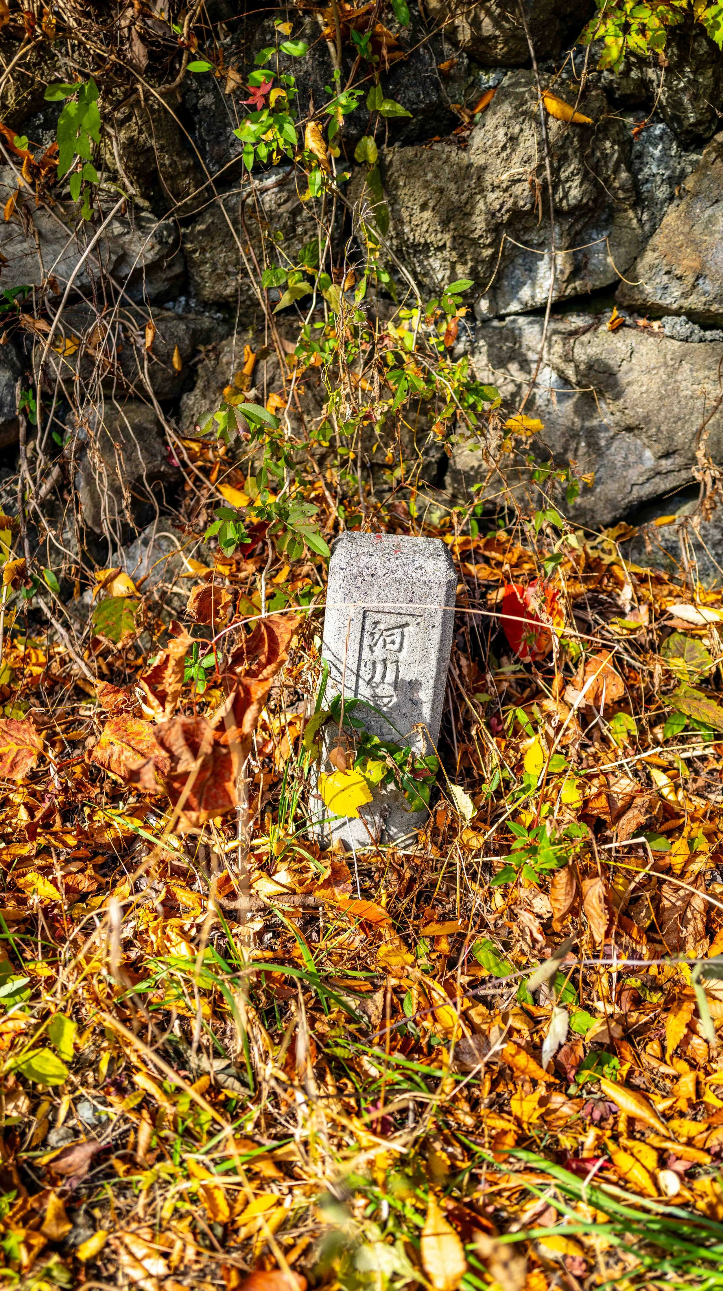 Mt Fuji Lake View 16 Q2.jpg