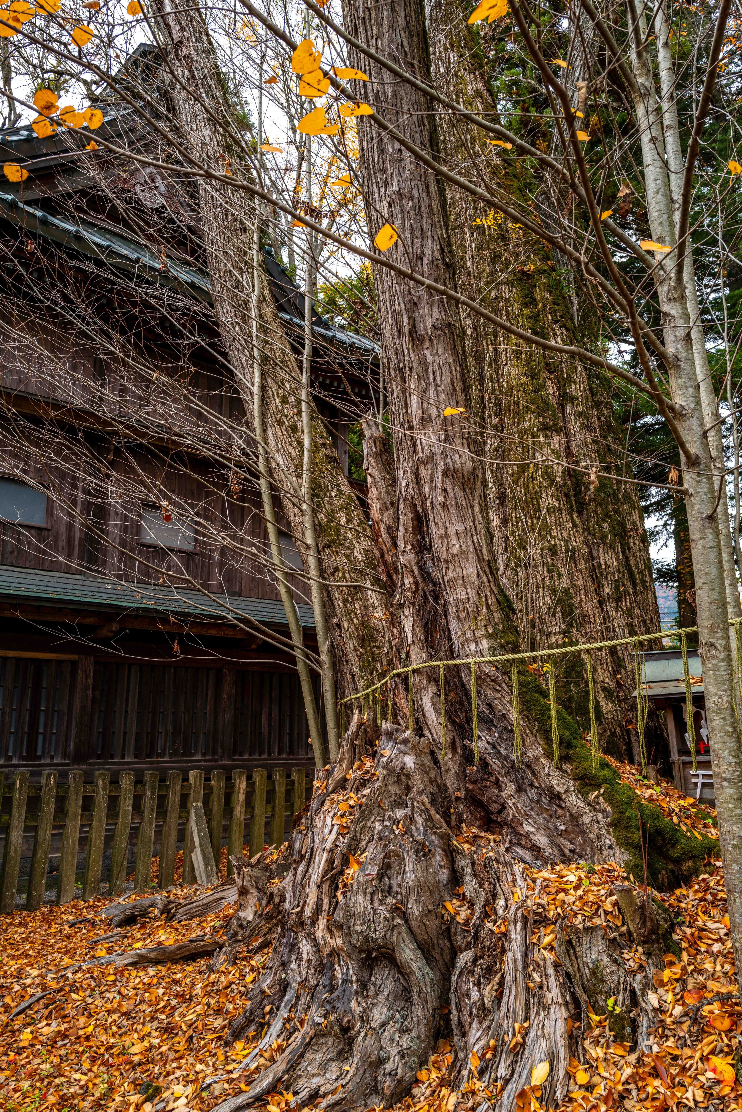 Fujiyoshida village 12 Q2.jpg