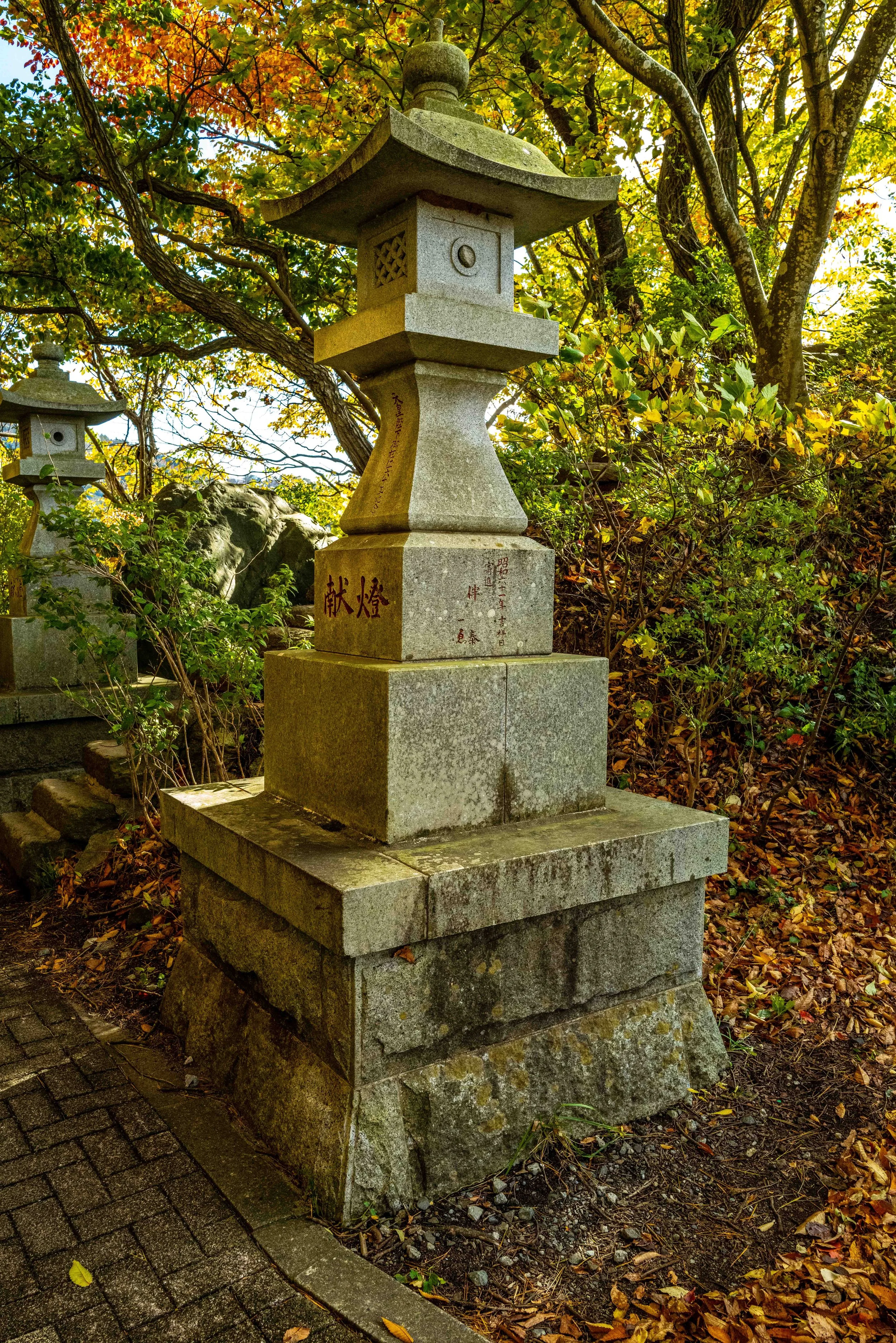 Mt Fuji Lake View 8 Q2.jpg