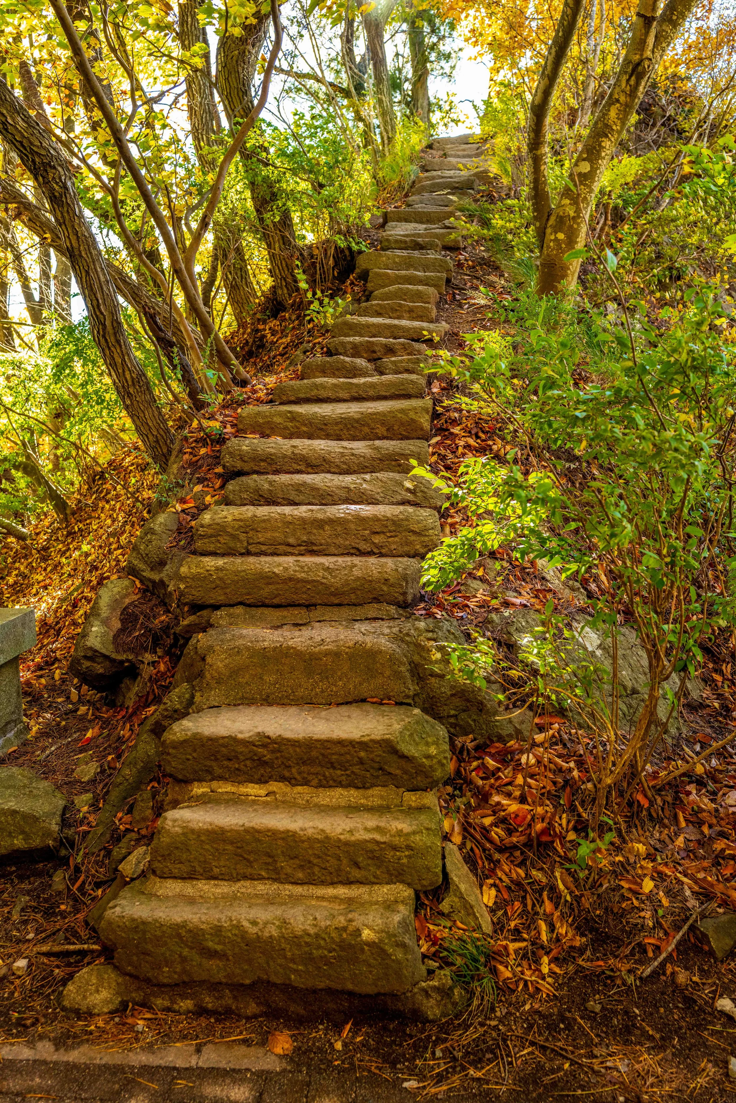 Mt Fuji Lake View 29 Q2.jpg
