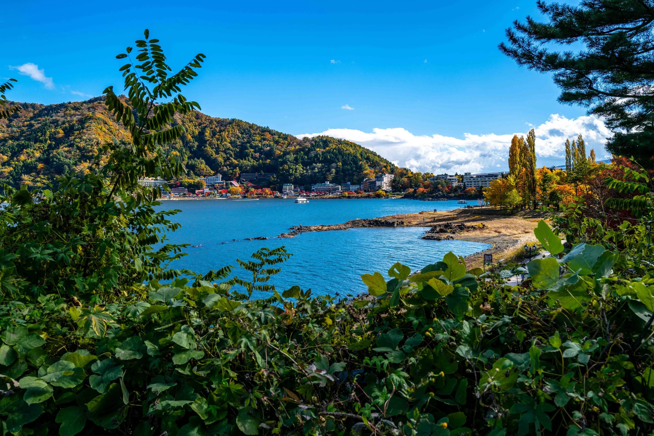 Mt Fuji Lake View 3 Q2.jpg