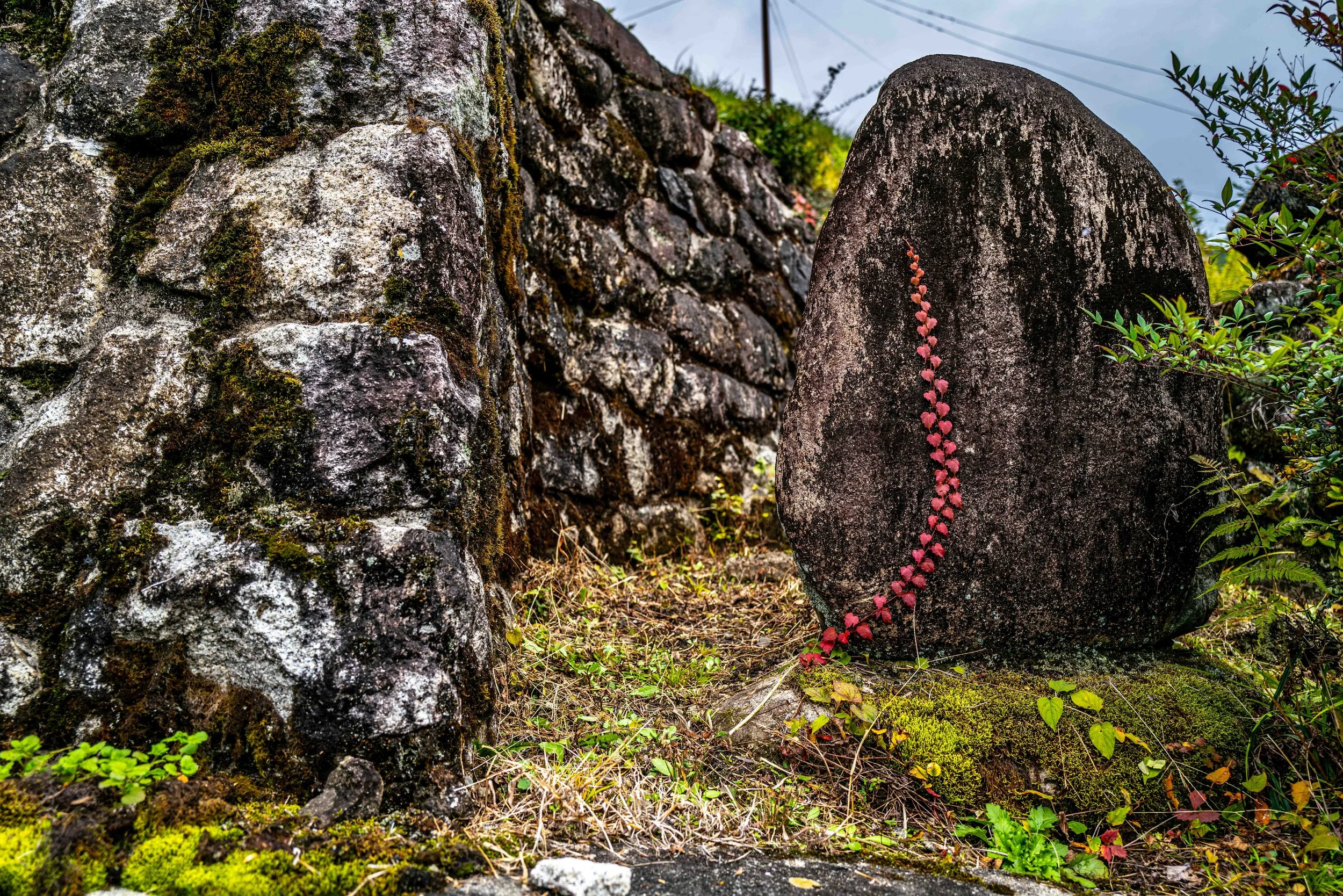 Village Mountain 74 Q2.jpg