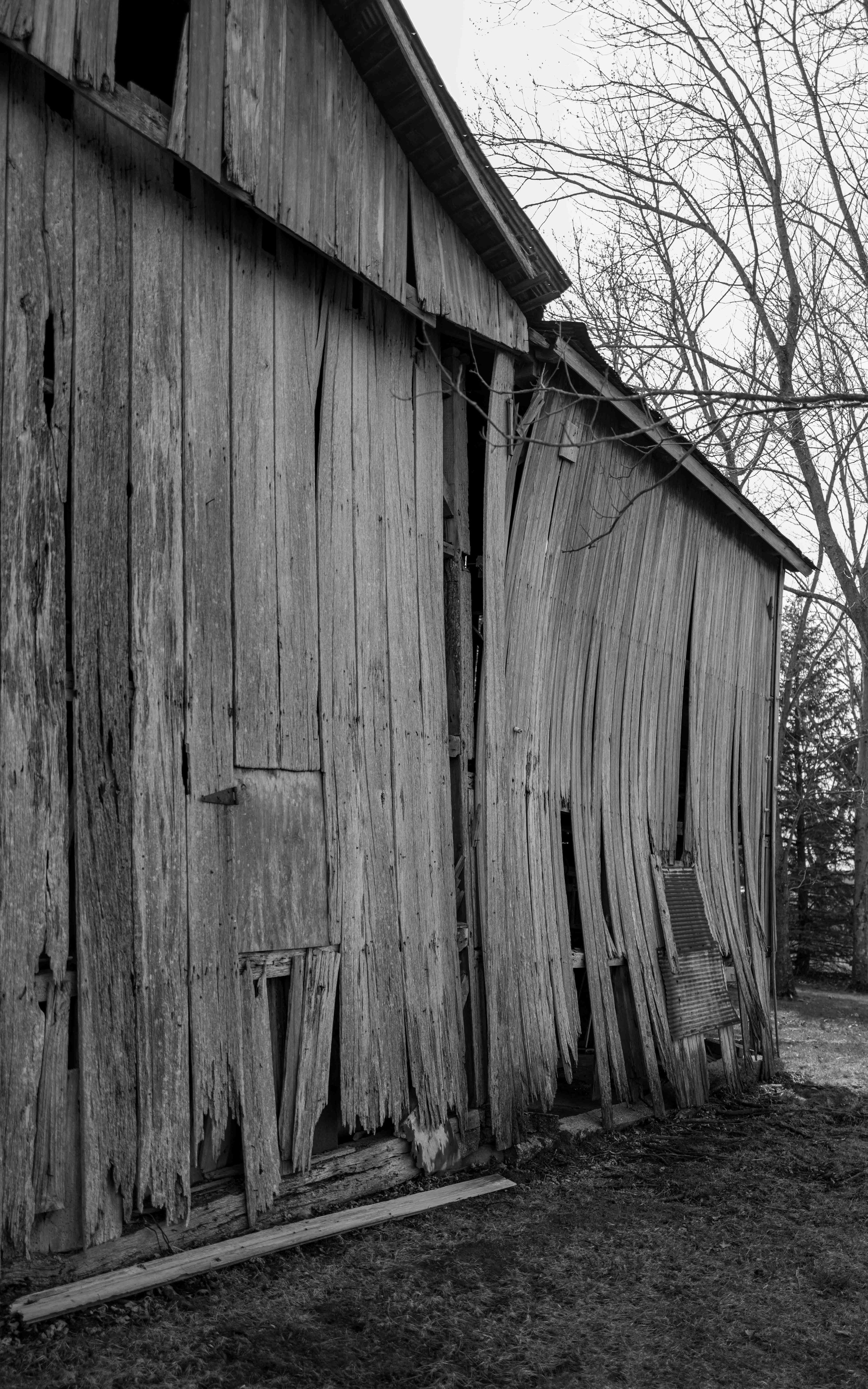 Muncie rural '26 21 Q2M.jpg