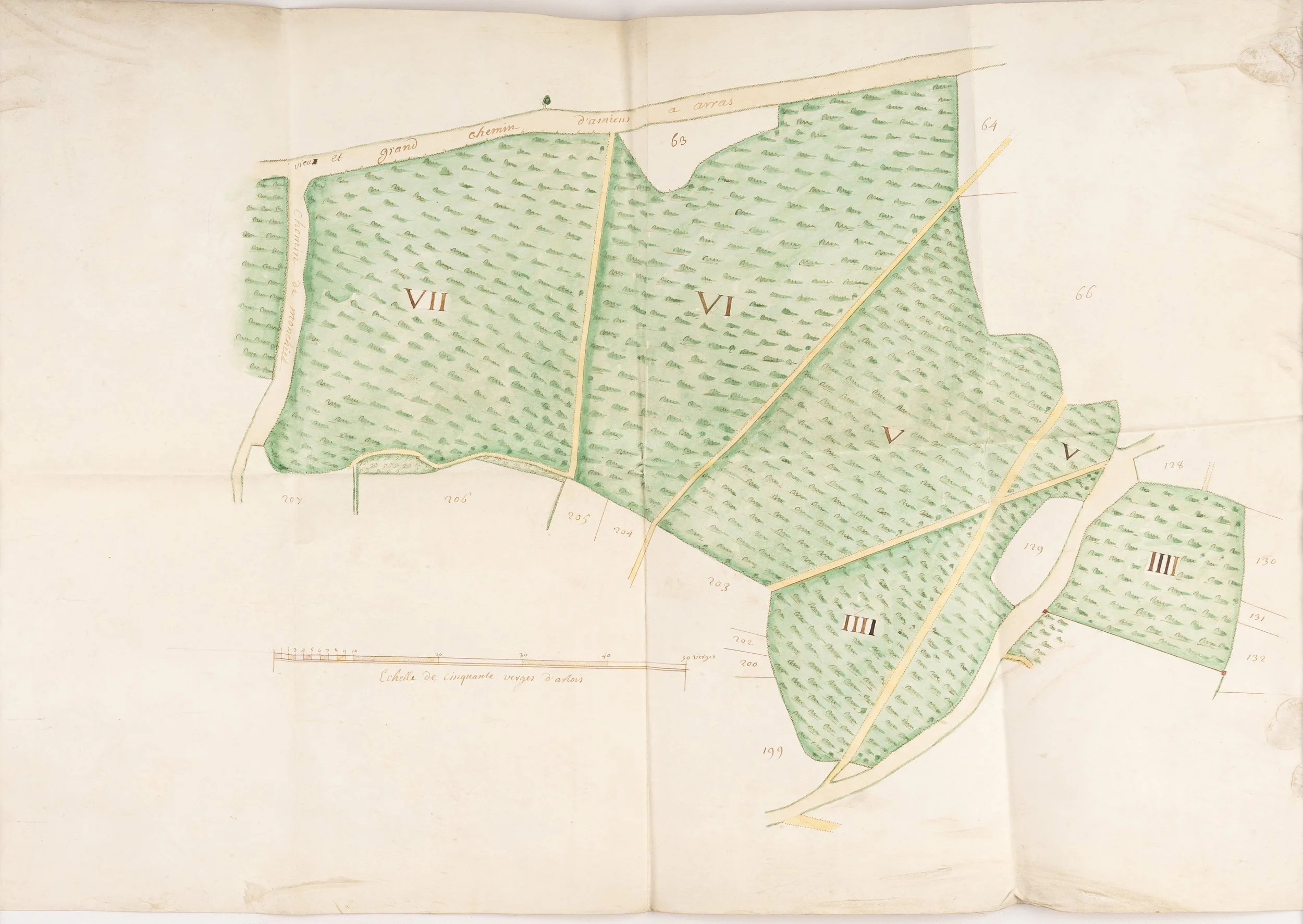 Plan de parcelles forestières du bois de Basseux (Pas-de-Calais). [Vers 1750-1790].