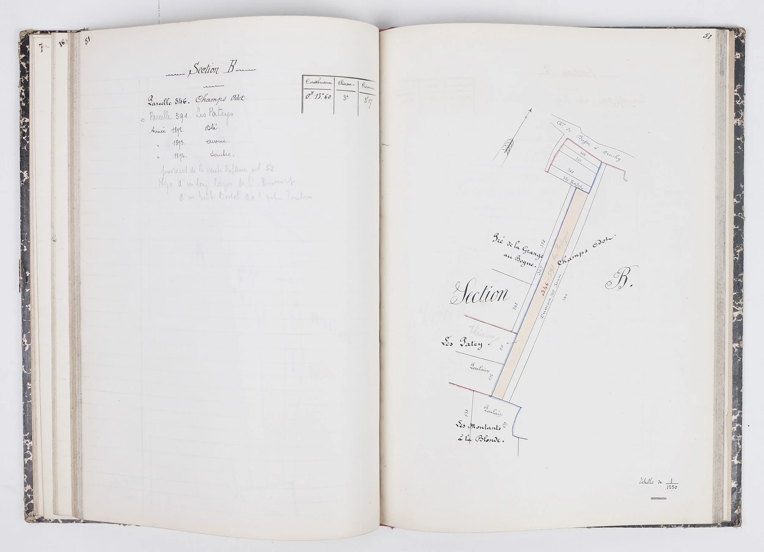 Registre manuscrit domaine de Buffon, plans parcelles