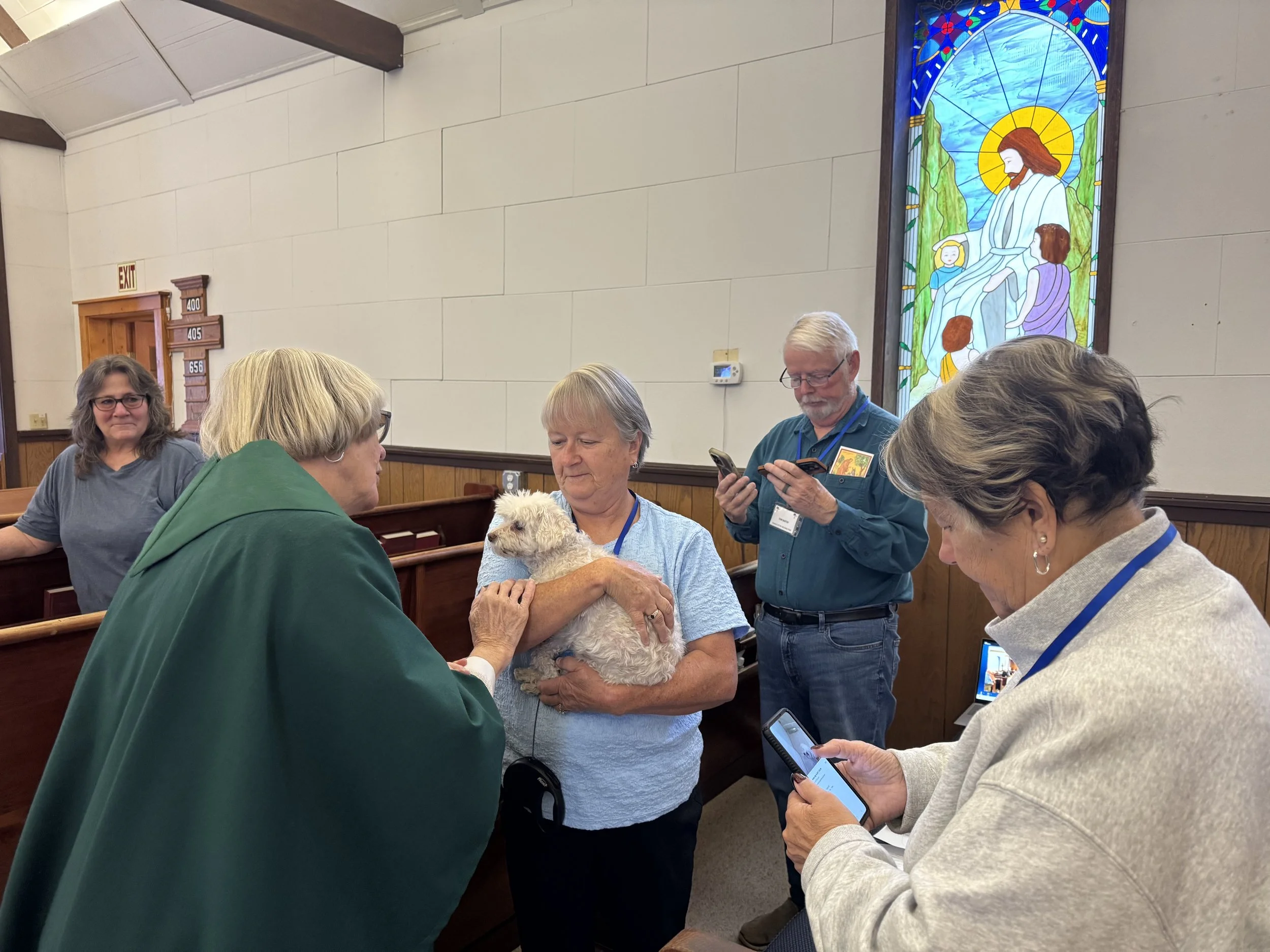 Feast of St. Francis                 Blessing of the Animals