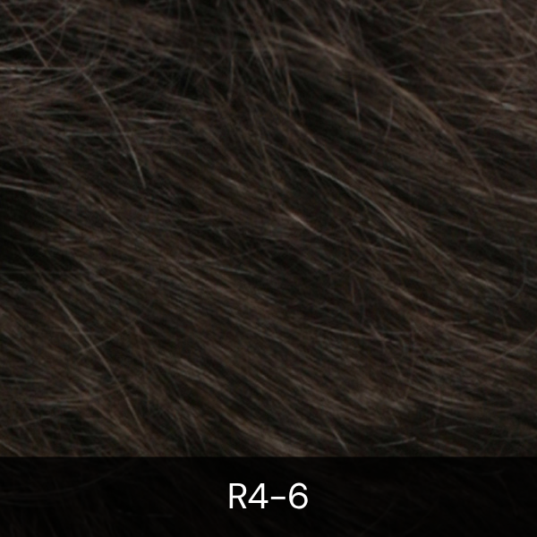 R4-6.png