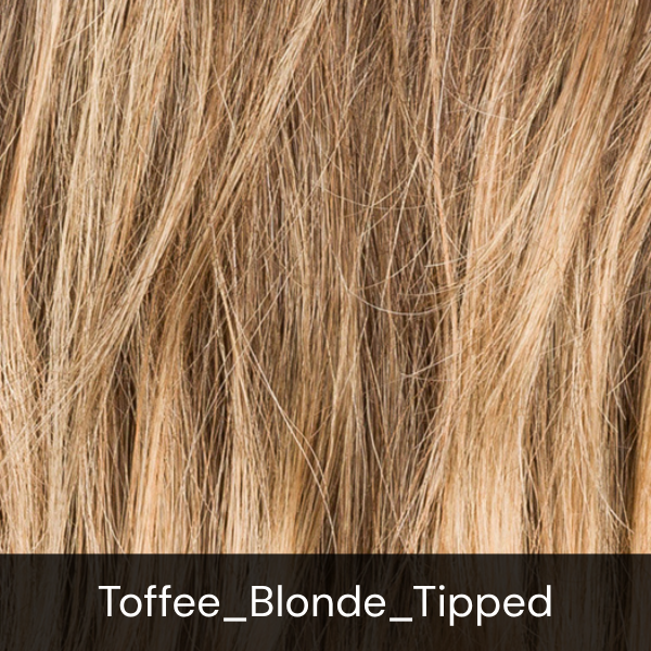 Toffee_Blonde_Tipped.jpg
