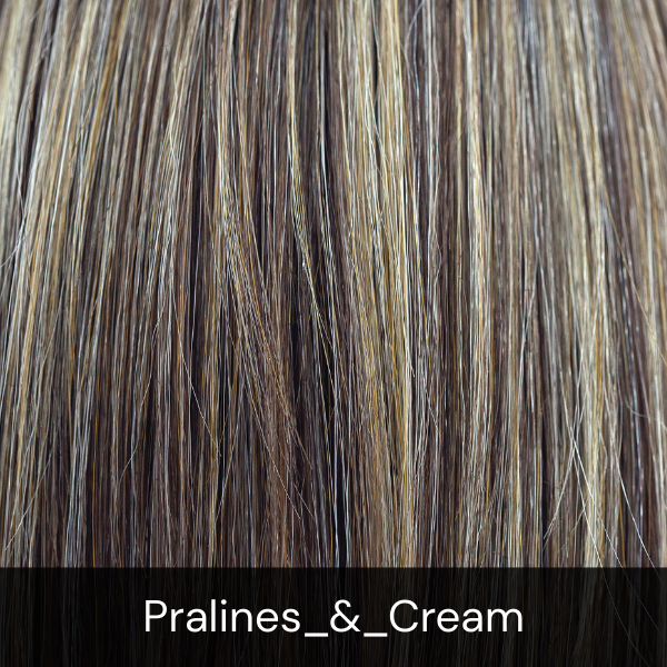 The Orchid Collection