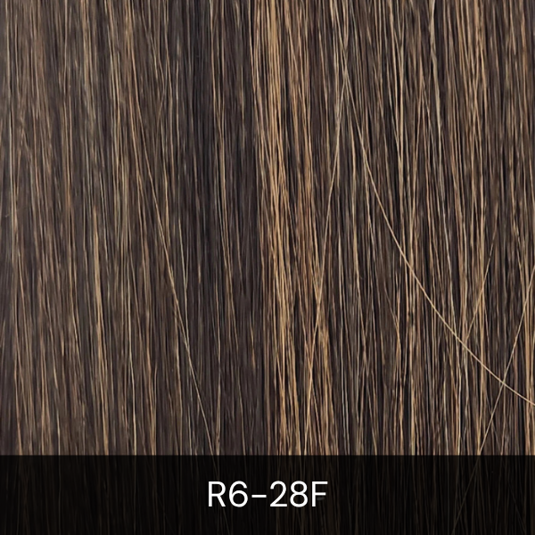 R6-28F.png