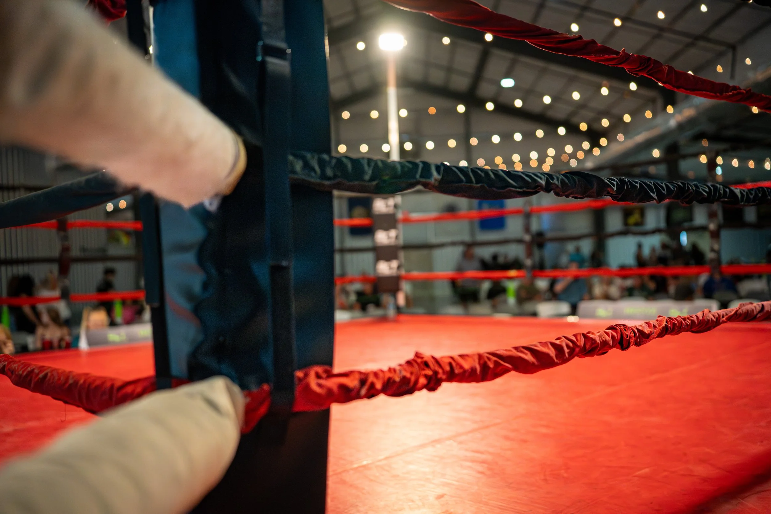 Ringside Fight Photos