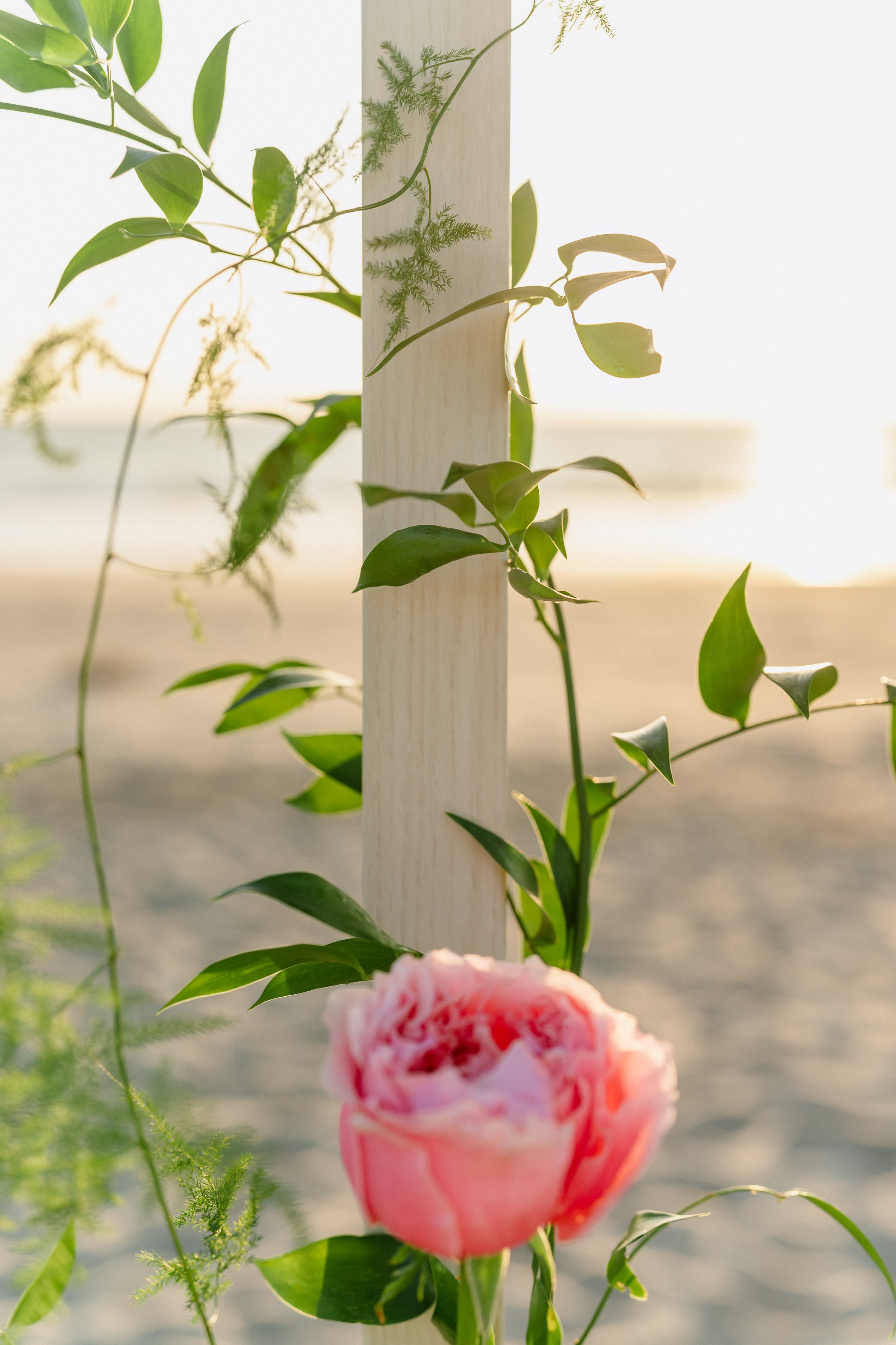 close up of wedding chuppah